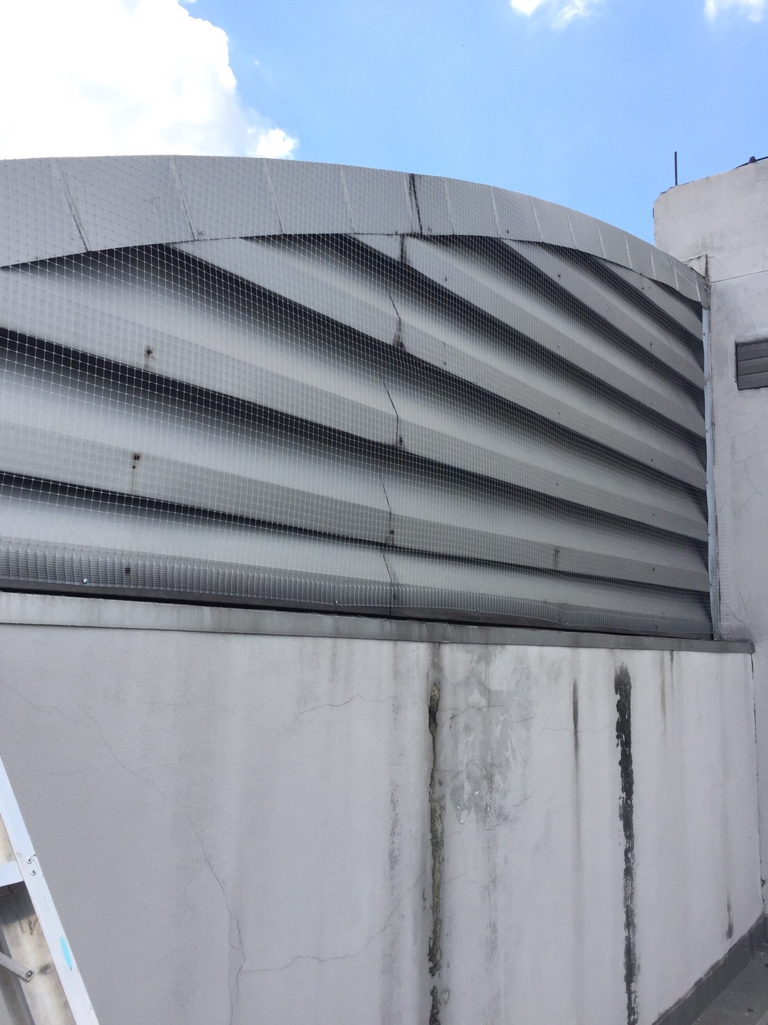 งานติดตาข่ายกันนก ตึกกายวิทยาทาน มหาวิทยาลัยมหิดล