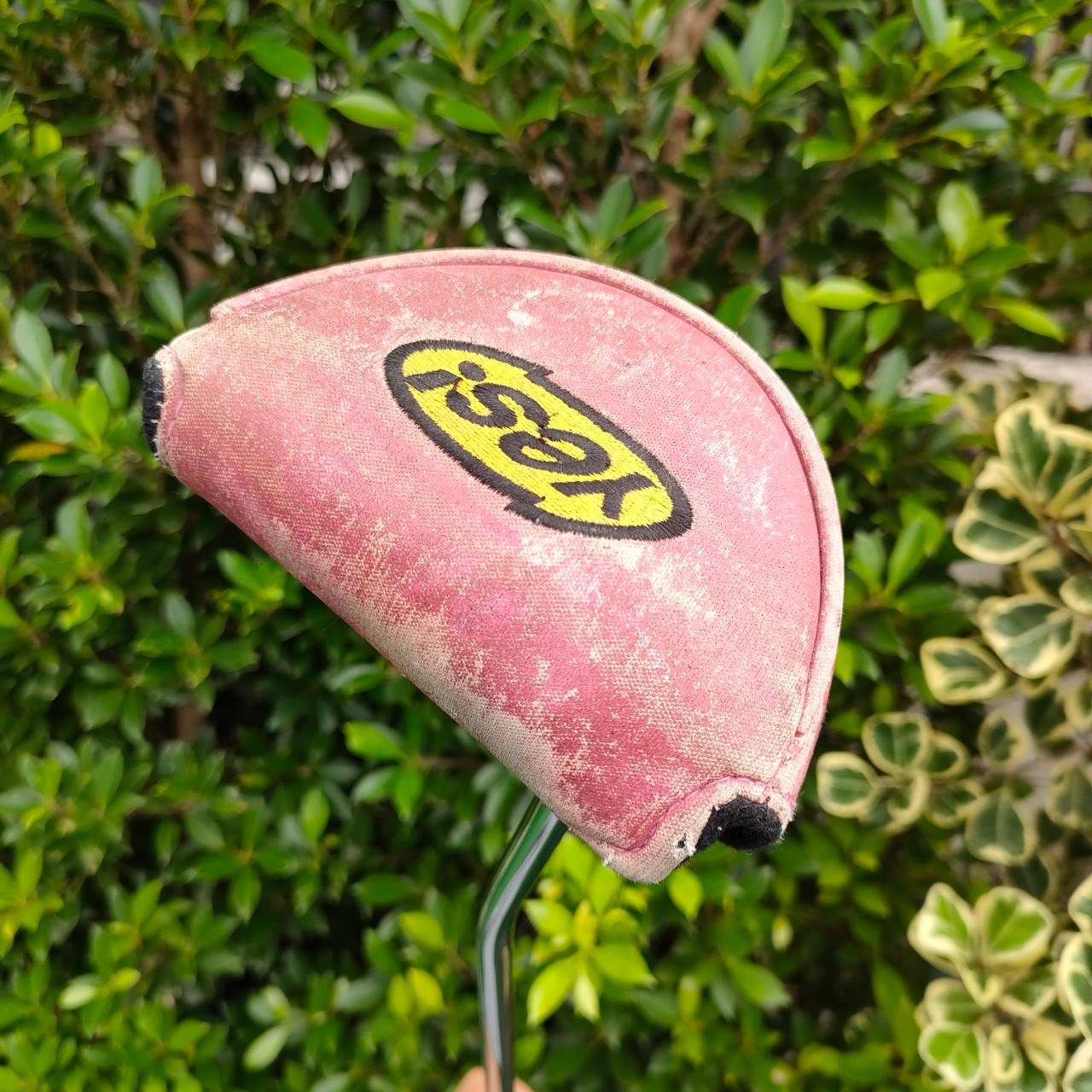 * ไม้กอล์ฟมือซ้าย * PUTTER YES! C-GROOVE รุ่น Marilyn ความยาว 33 นิ้ว พัตเตอร์รุ่นดัง ที่สุดแห่งความเกาะไลน์