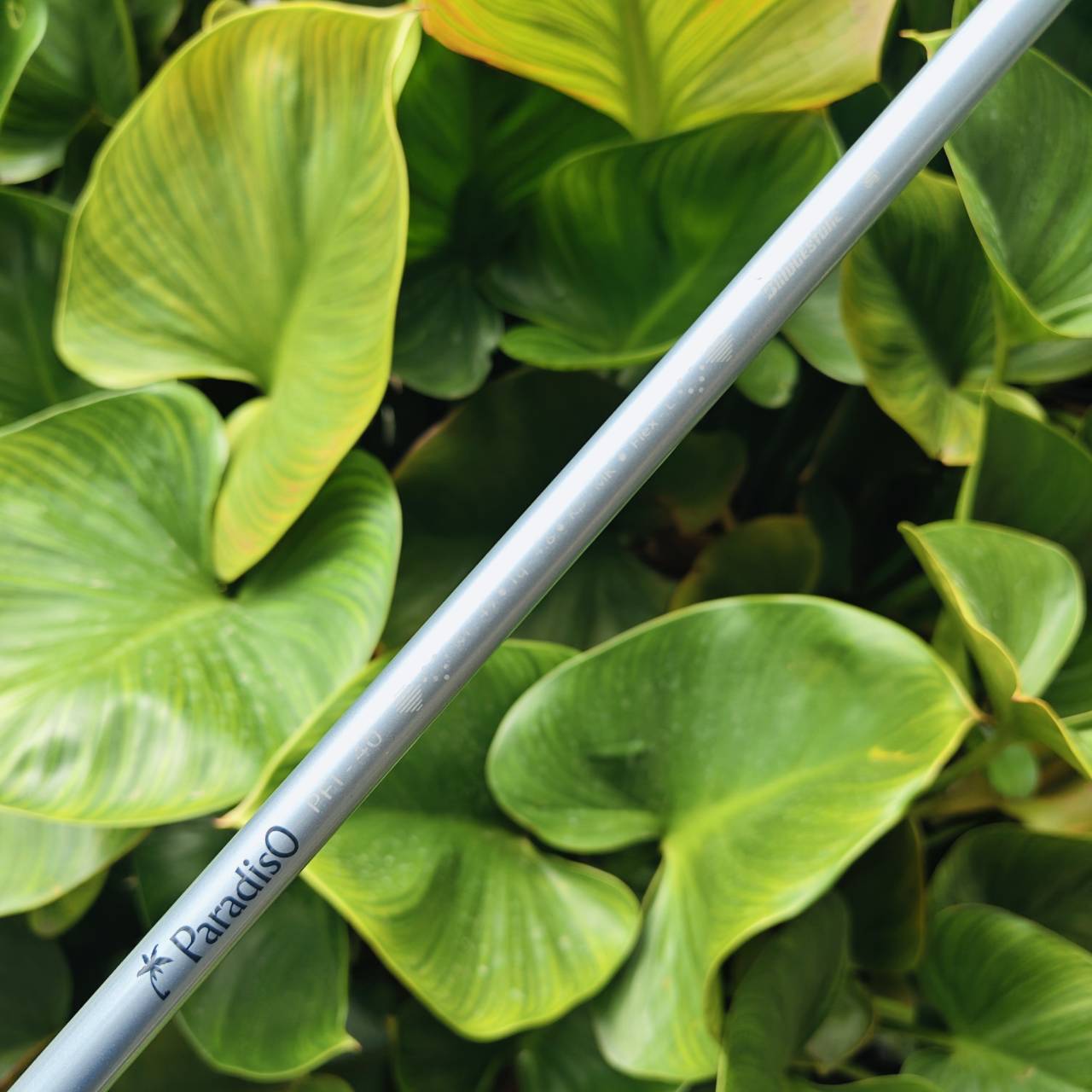 ** ไม้กอล์ฟสำหรับผู้หญิง ** SET BRIDGESTONE PRADISO LADY ชุดพรีเมี่ยมจากญี่ปุ่น 🔴