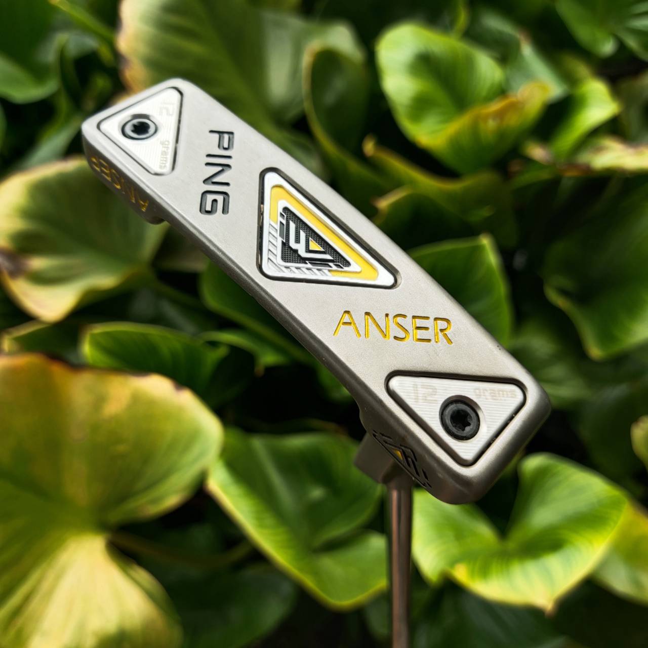 PUTTER PING ANSER iwi หน้าไม้ใส่ Insert iwi (lightweight insert) ที่สุดของการเกาะไลน์