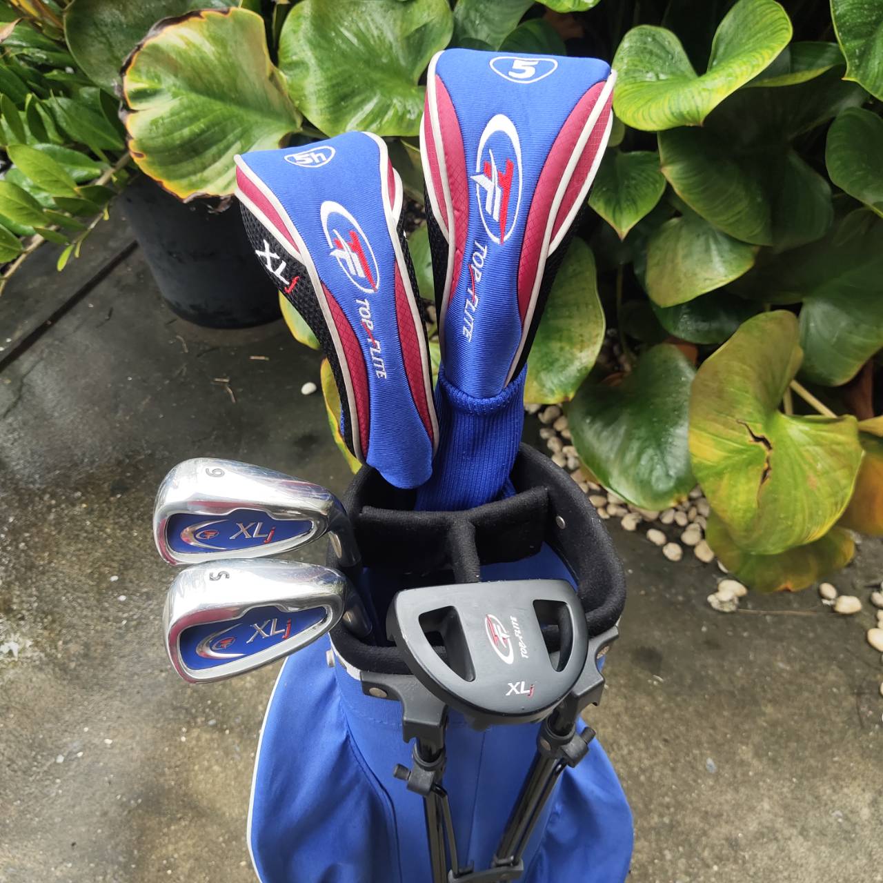 ชุดกอล์ฟเด็ก TOP FLITE XLj เหมาะกับเด็กที่มีส่วนสูงประมาณ: 🔸 135–145 ซม.