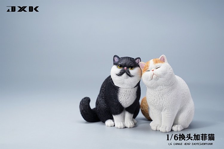 [สั่งจอง]JXK JXK113 1/6 : Change Head Exoticshorthair