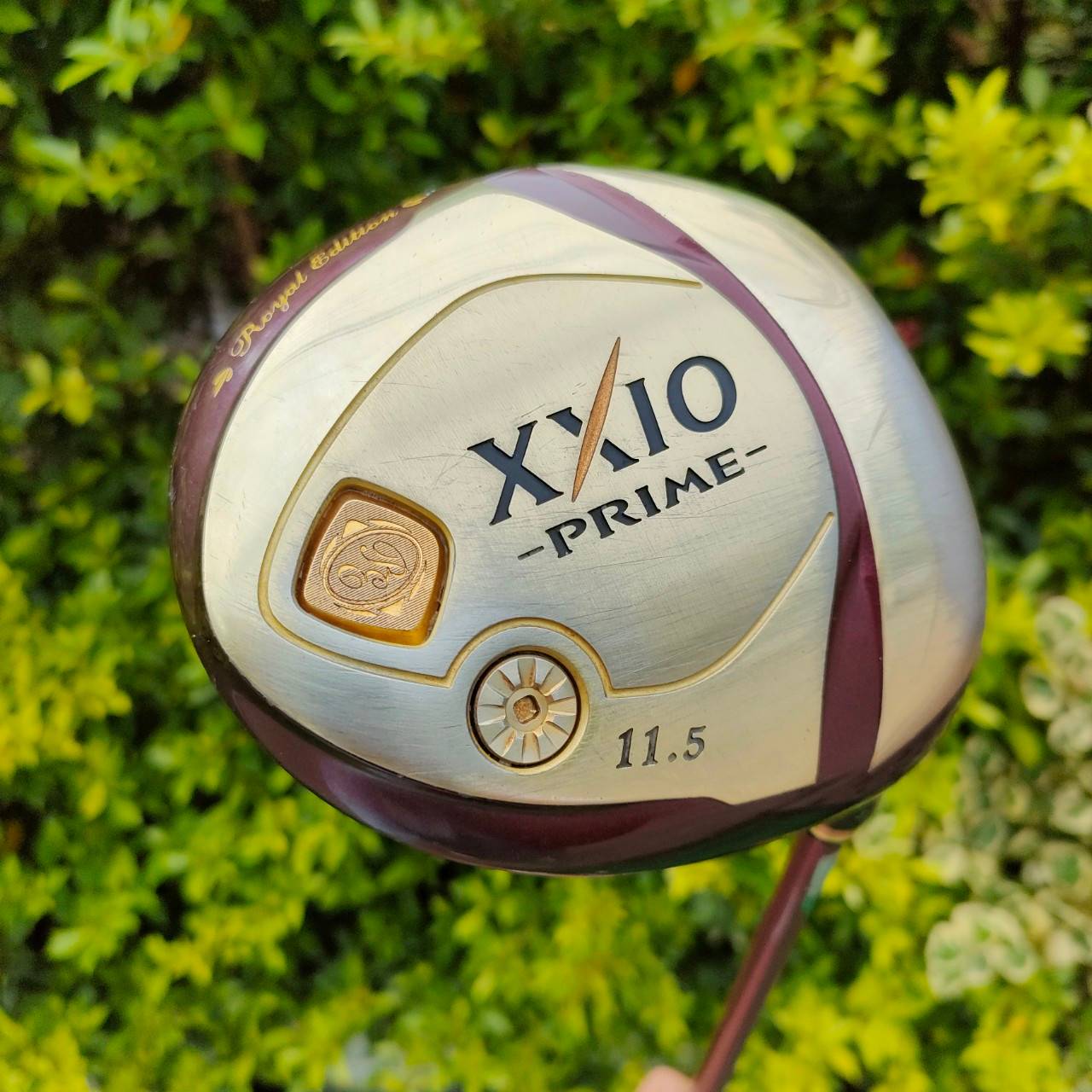 ** ไม้กอล์ฟสำหรับผู้หญิง ** DRIVER XXIO -PRIME- องศา 11.5 ก้าน ROYAL EDITION SP-900K FLEX L เป็นตัวพรีเมี่ยมกว่า XXIO9 ธรรมดา เป็นรุ่น 9 รุ่นใหม่และยอดนิยม ไม้กอล์ฟมือสอง ของแท้ BY NakaraLuxurious