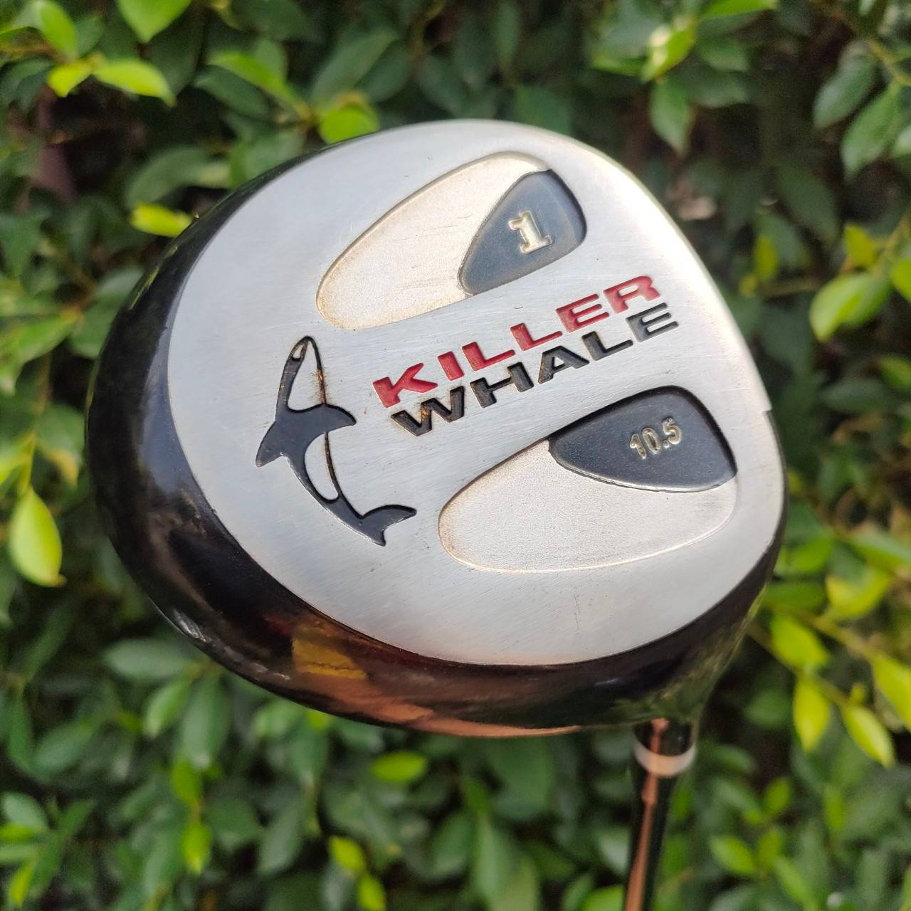 FULLSET WILSON KILLER WHALE ทั้งชุดประกอบด้วย หัวไม้ 1 3 5 ก้าน KILLER WHALE FLEX R ชุดเหล็ก 3-9 เเละ PW SW PUTTER WILSON พร้อมถุงกอล์ฟ WILSON เดิมๆทั้งชุด ครบเลยครับ พร้อมออกรอบได้เลยครับ ไม่ต้องซื้ออะไรเพิ่มแล้ว