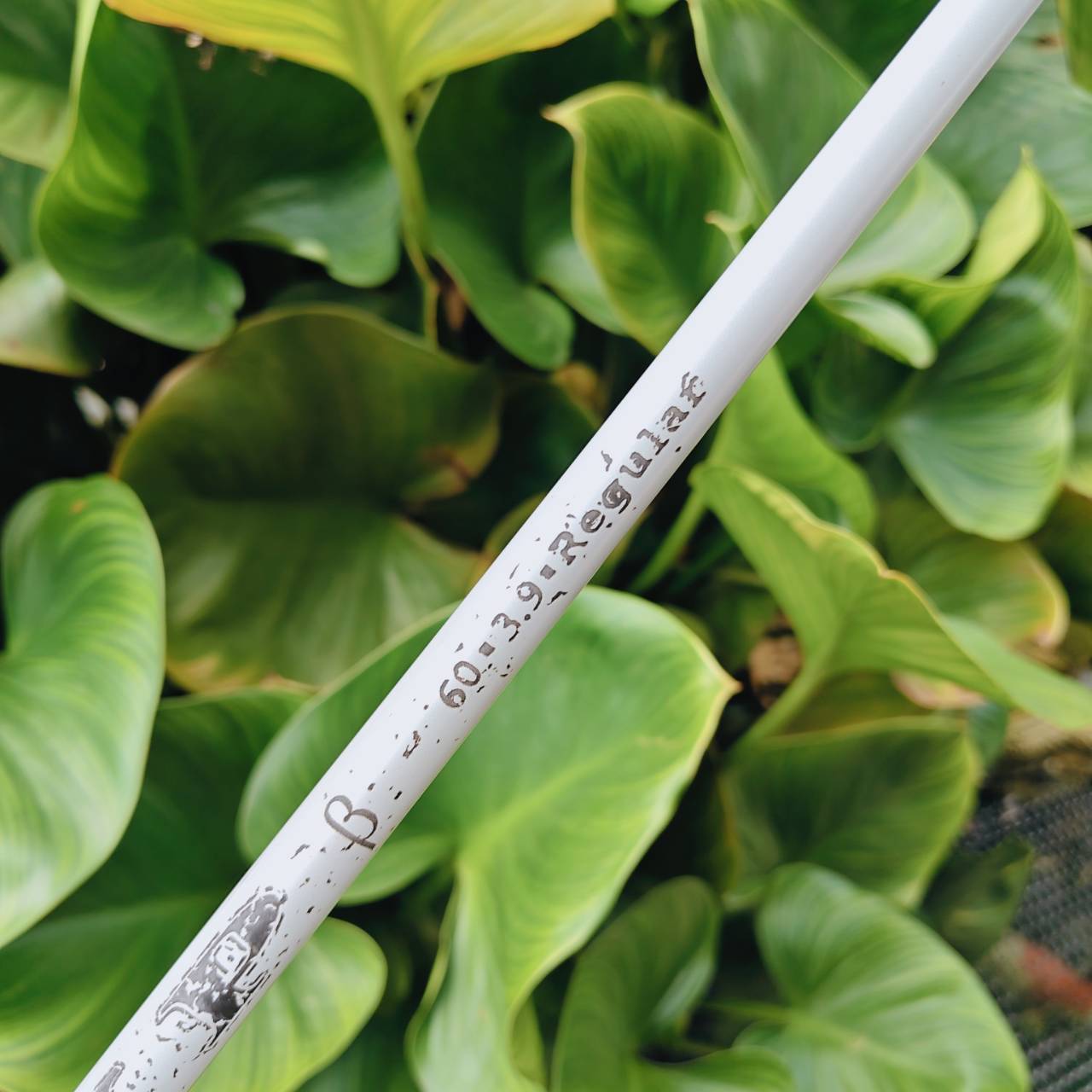 DRIVER NEW ZL ENCORE – โฉบเฉี่ยว ล้ำสมัย และเต็มไปด้วยสีสัน!