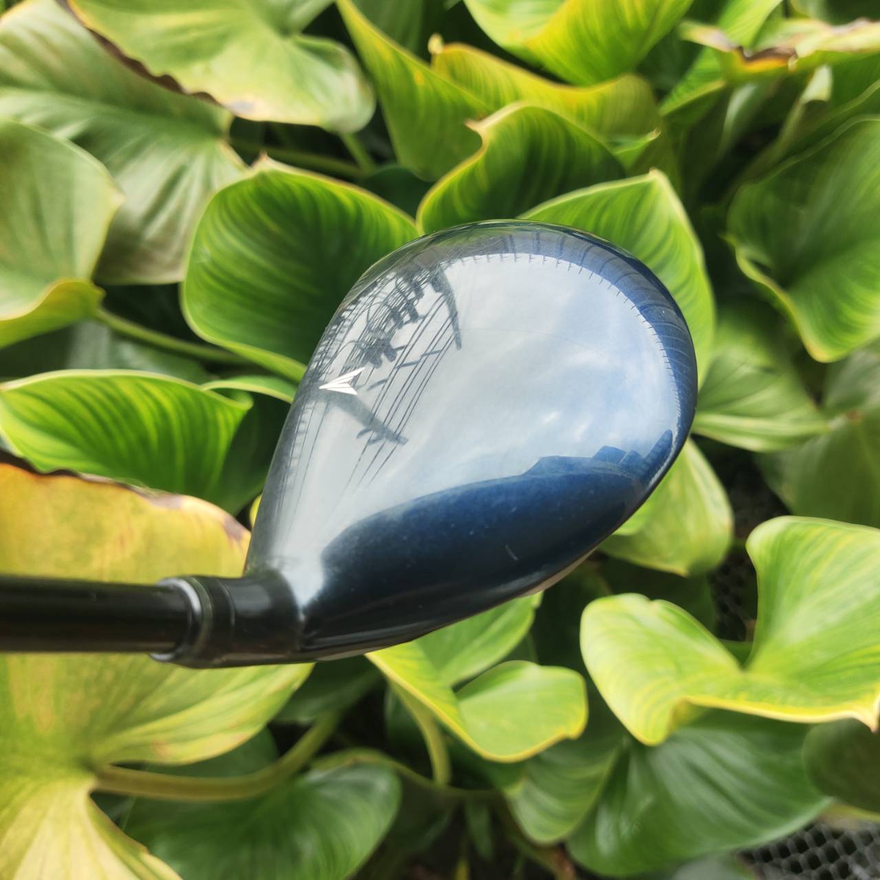 5W XXIO 6 Loft 18° FACE CUP DESIGN หน้าไม้บาง ยืดหยุ่นสูง (high COR) รีด ball speed สุด!!!