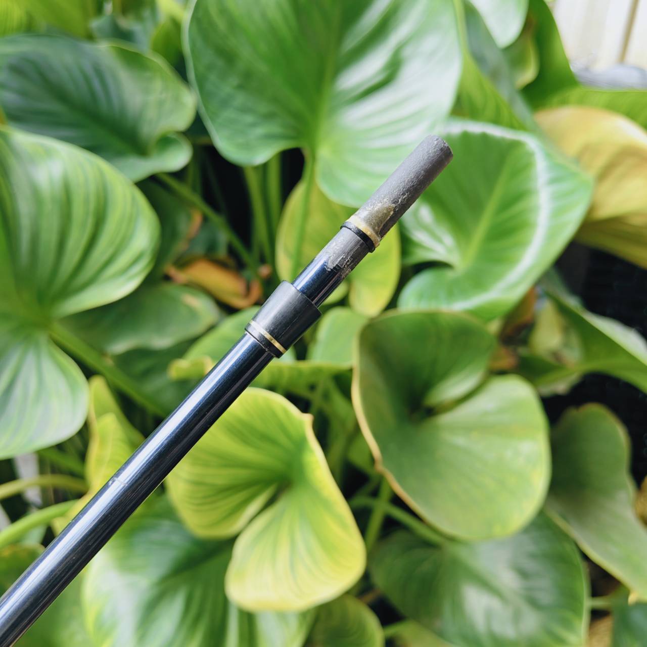 ก้านใส่ FW HONMA ARMRQ B49 ★★★ – ก้านระดับตำนานจาก SAKATA, JAPAN