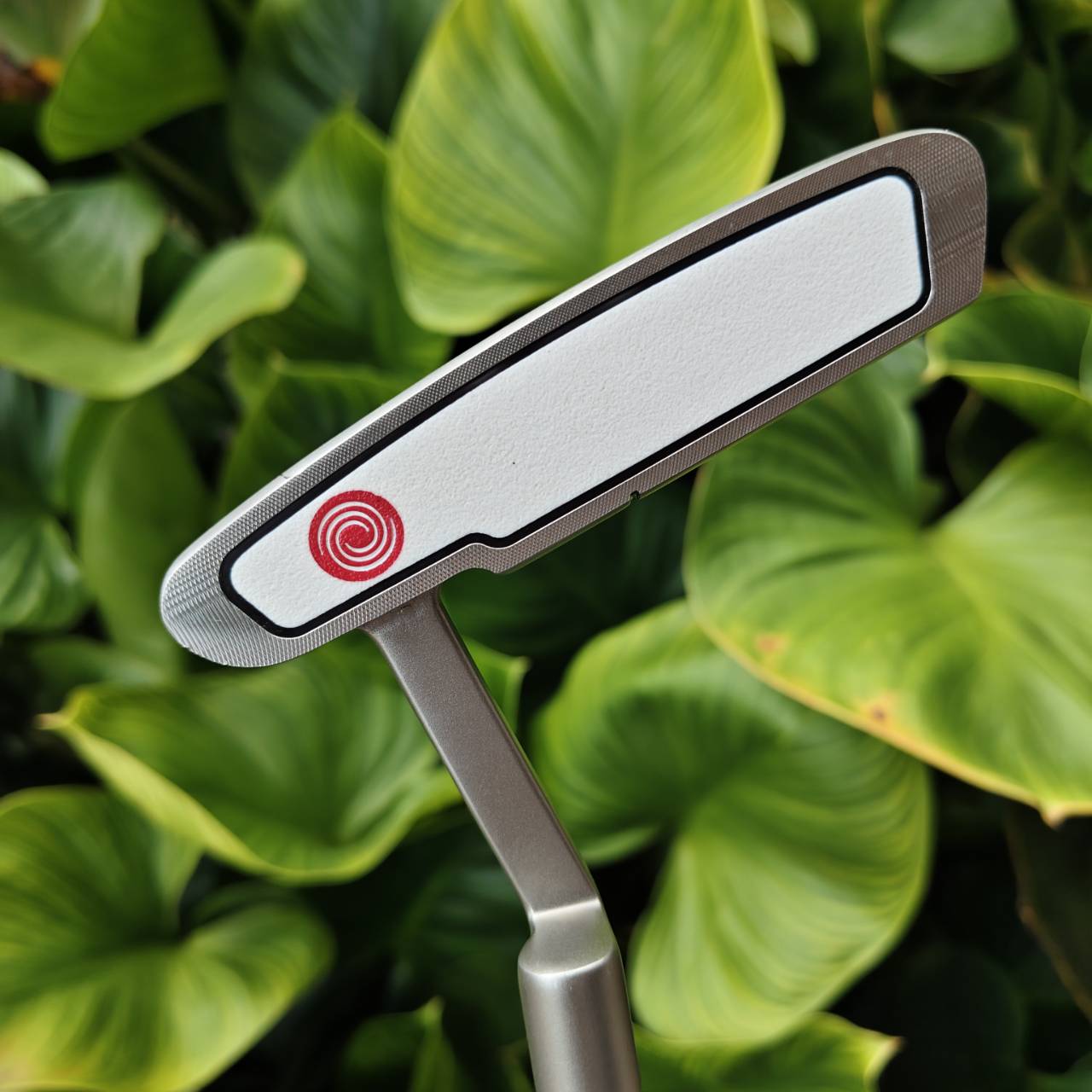 Putter Odyssey White Hot #1 Face Balanced Design — เหมาะกับนักกอล์ฟที่มีสวิงตรงและช้า