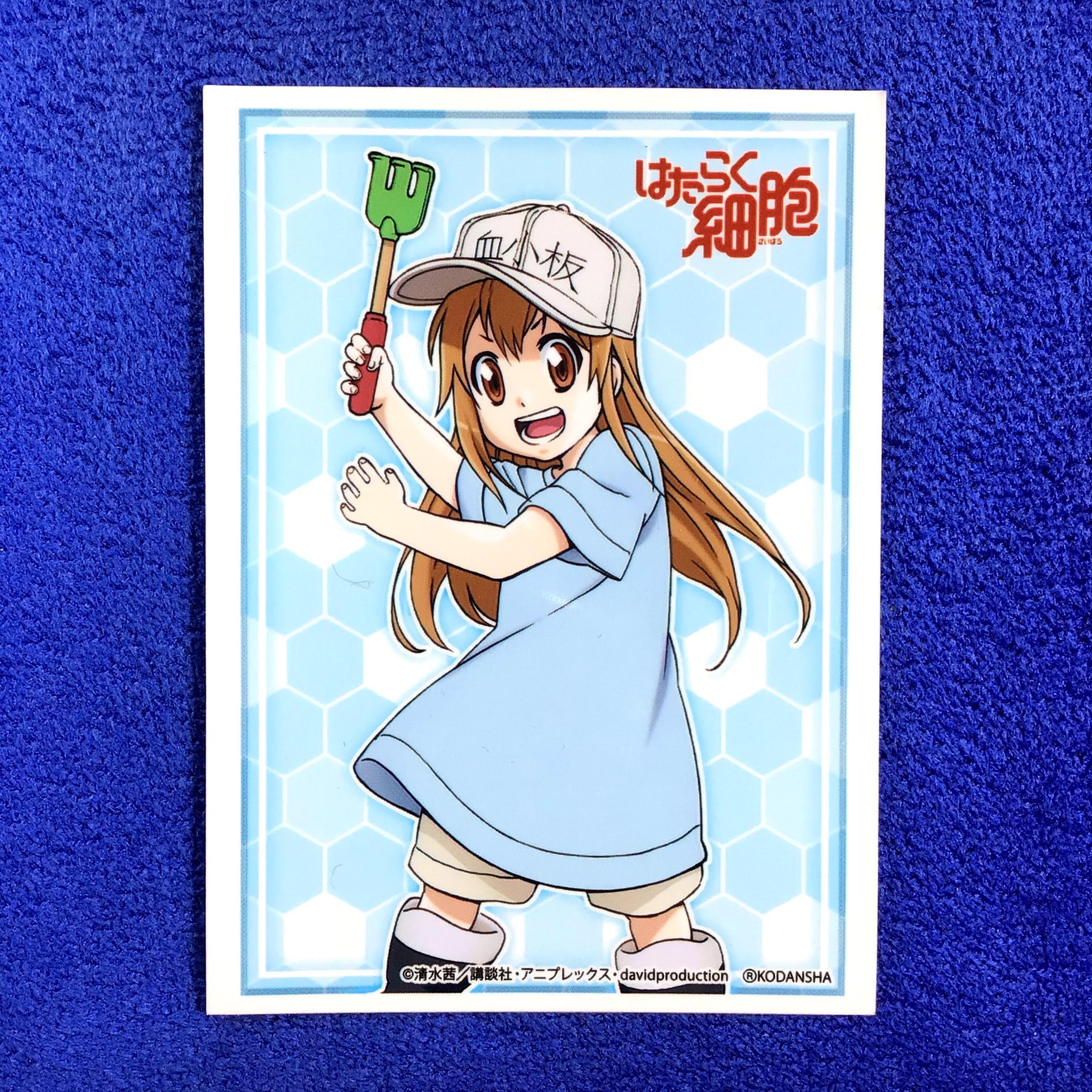 Vol.1710 - Cells at Work! Platelet (Single)