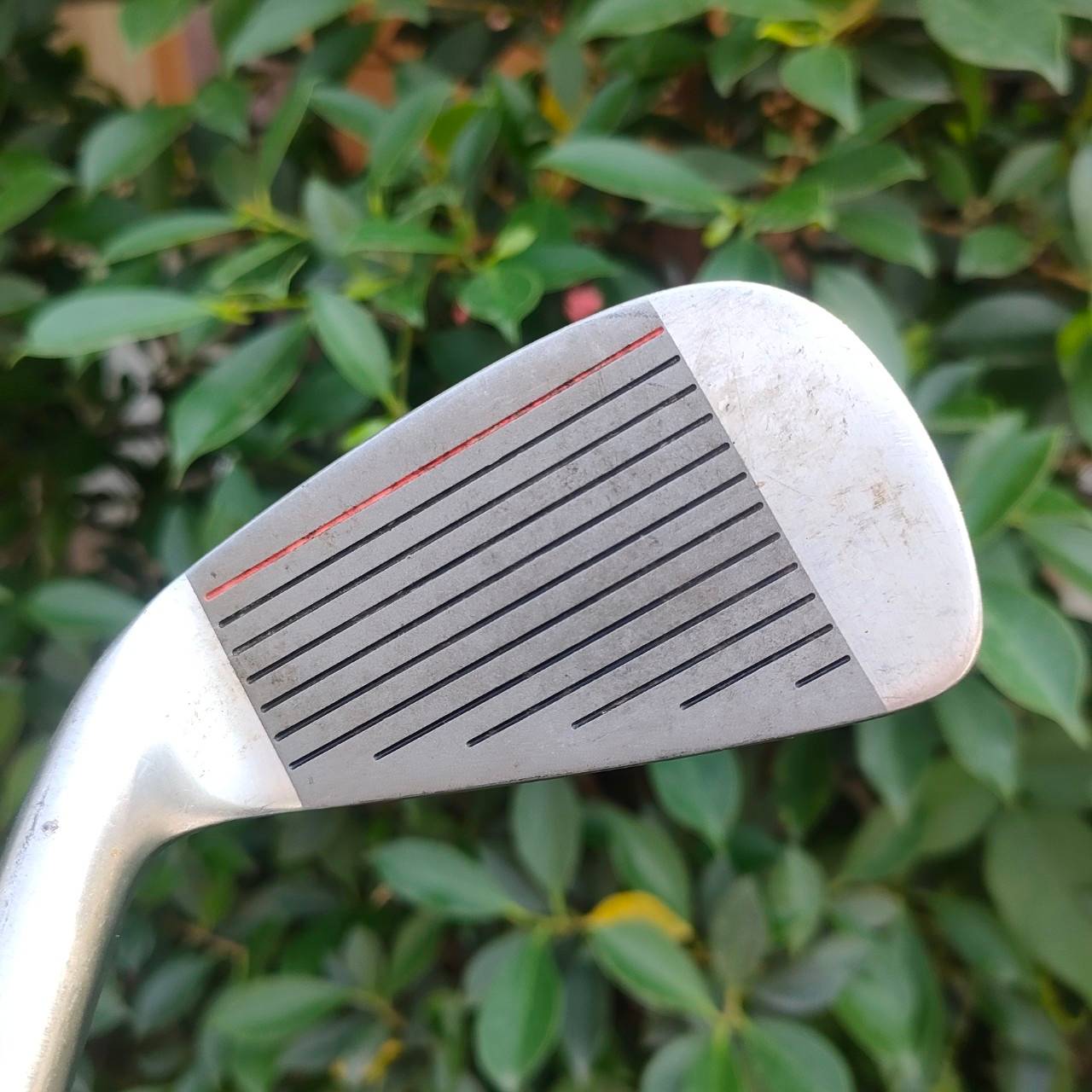 ** ไม้กอล์ฟสำหรับผู้หญิง ** ชุดเหล็ก MIZUNO CHIME LADY มีเหล็ก 5-9 เเละ PW SW