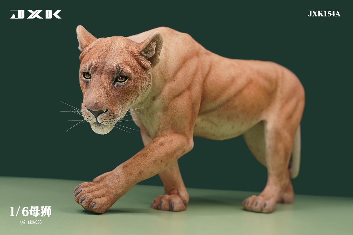 [สั่งจอง] JXK JXK154 1/6 : Lioness