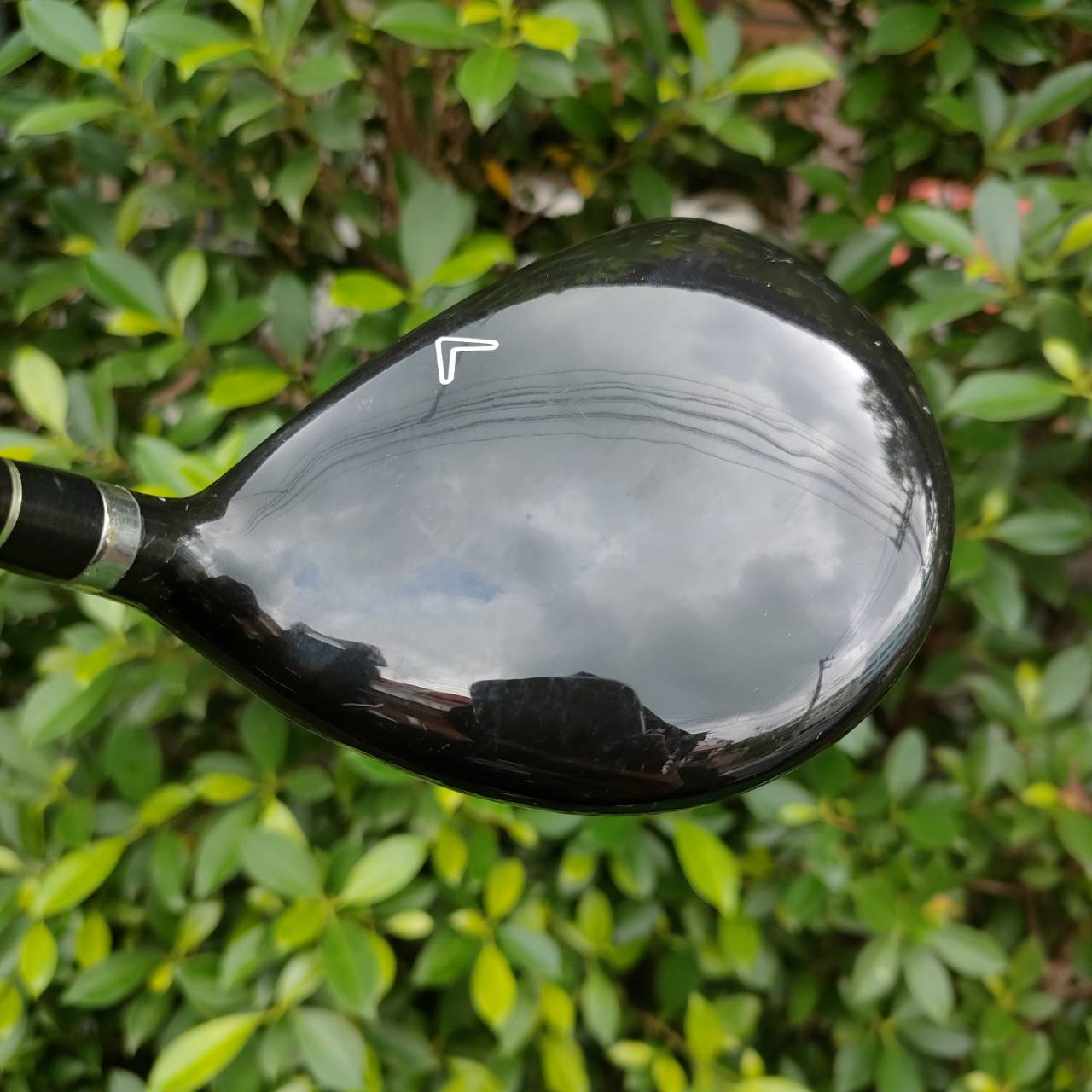 **ไม้กอล์ฟสำหรับผู้หญิง** FW 3 CALLAWAY LEGACY V ก้าน SPEED AMORPHOUSZ FLEX L เป็นตัวพรีเมี่ยมของ Callaway