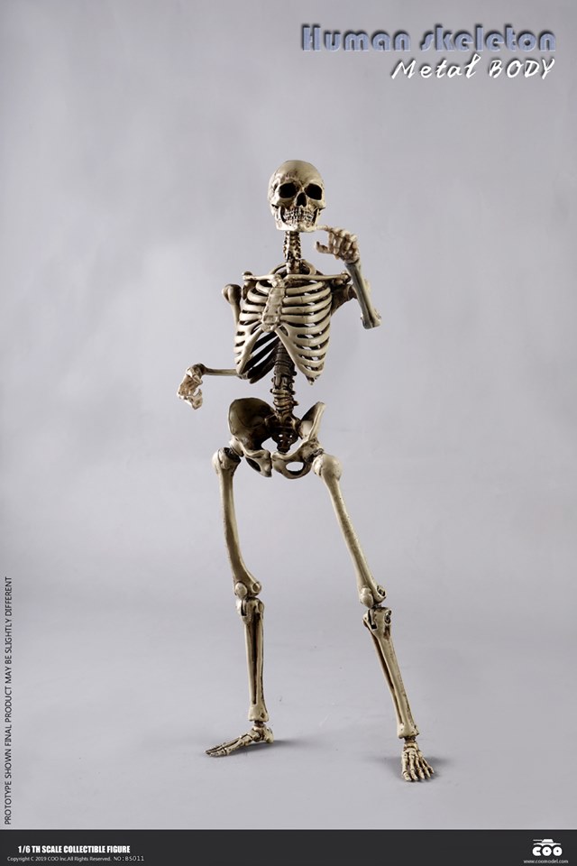 [สั่งจอง]COOMODEL NO.BS011 1/6 THE HUMAN SKELETON (DIECAST ALLOY)