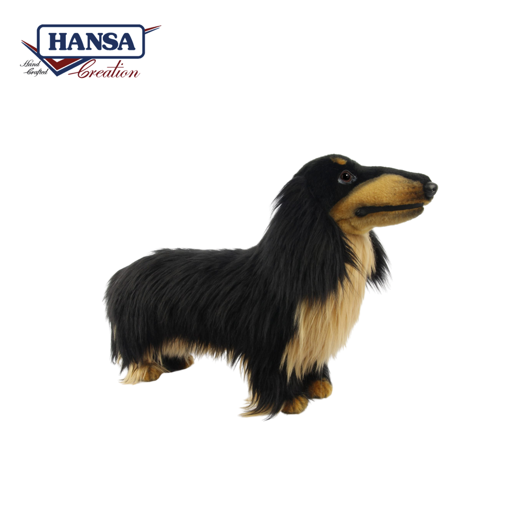 8149 Dachshund Long Haired 68cm. L