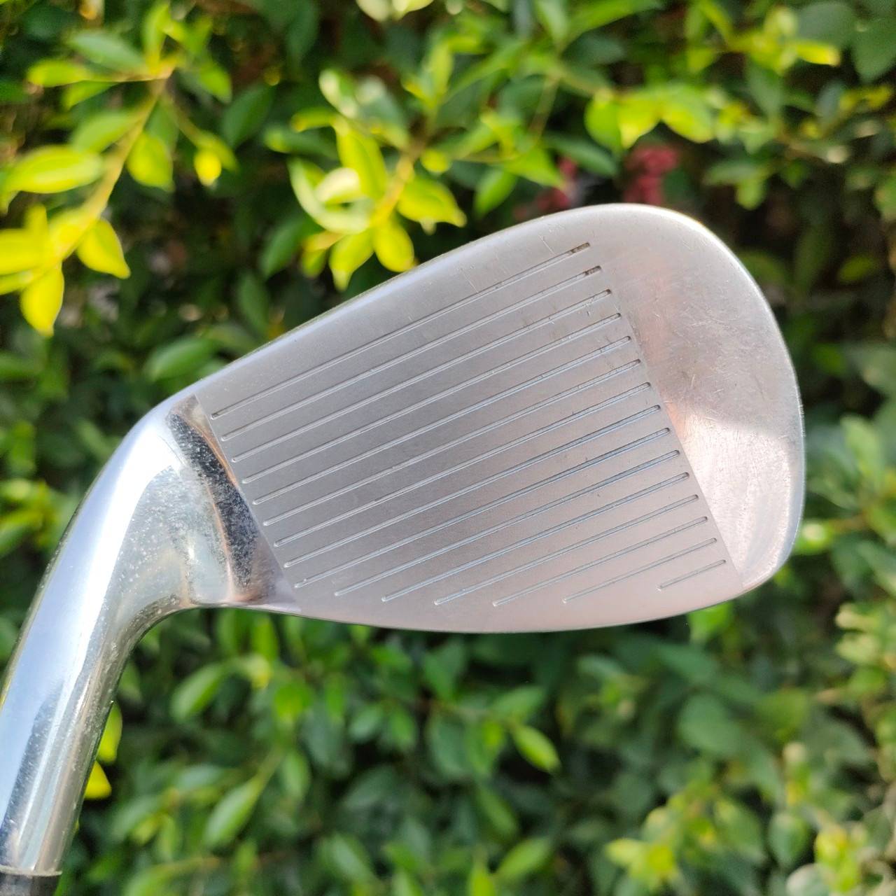 ** ไม้กอล์ฟสำหรับผู้หญิง ** เหล็ก 8 PROKENNEX OMEGA PURE IMPACT ก้าน OMEGA II FLEX L น้ำหนักเบา ตีสบายๆเลยครับ