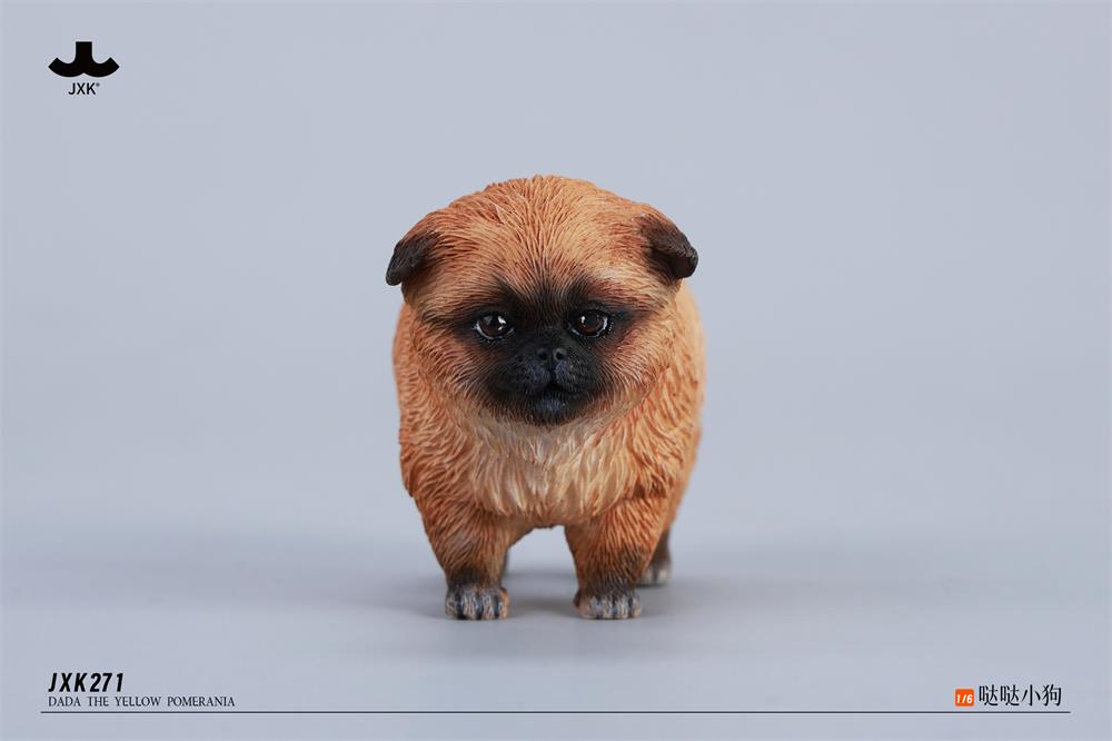 [สั่งจอง] JXK JXK271 1/6 : Dada the Yellow Pomerania