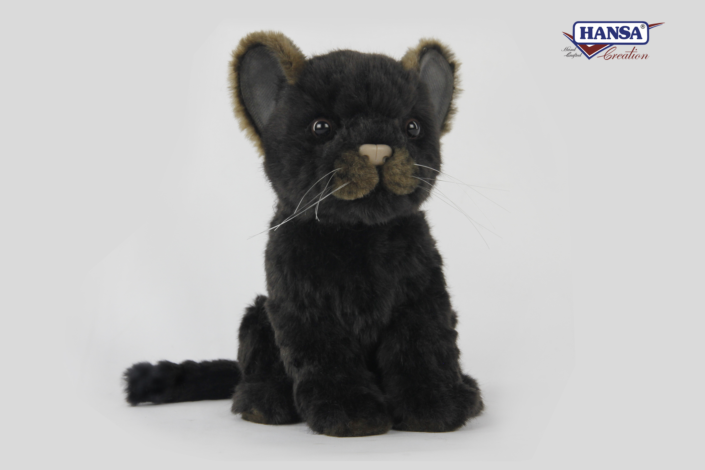 7289 Jaguar Black 17 cm.L