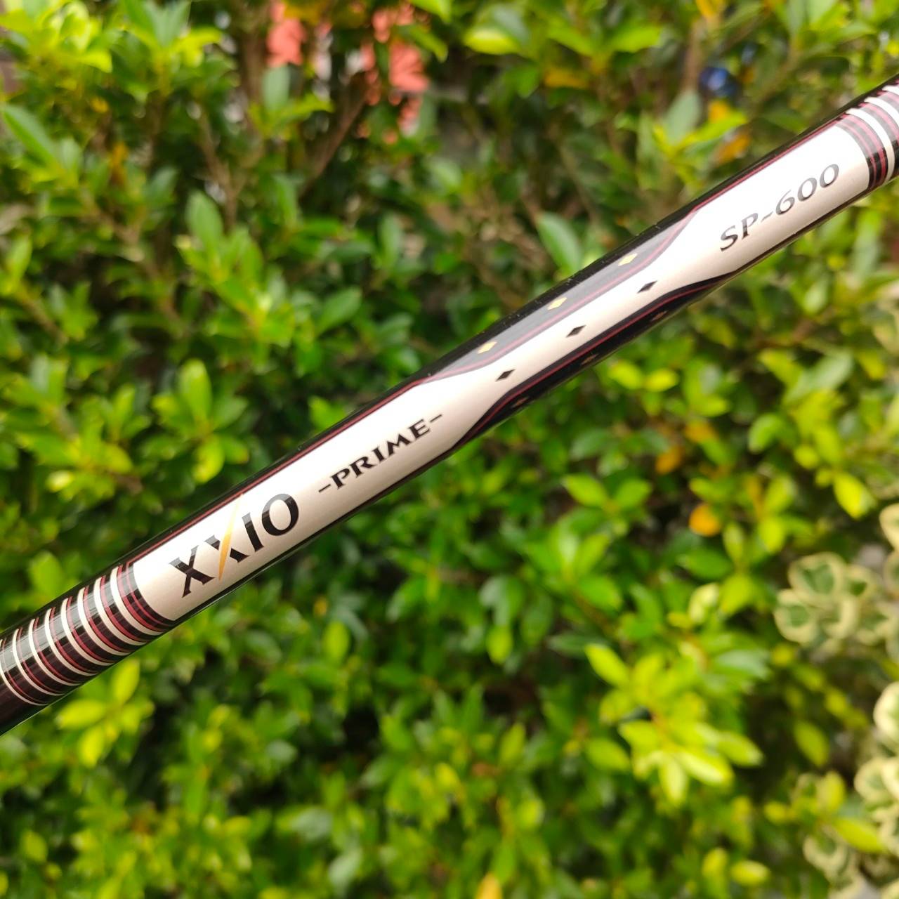 DRIVER XXIO PRIME ก้าน XXIO PRIME SP-600 FLEX SR องศา 10.5 สุดยอดไดร์เวอร์พรีเมี่ยมหน้าเด้ง แบรนด์อันดับ 1 จากประเทศญี่ปุ่น
