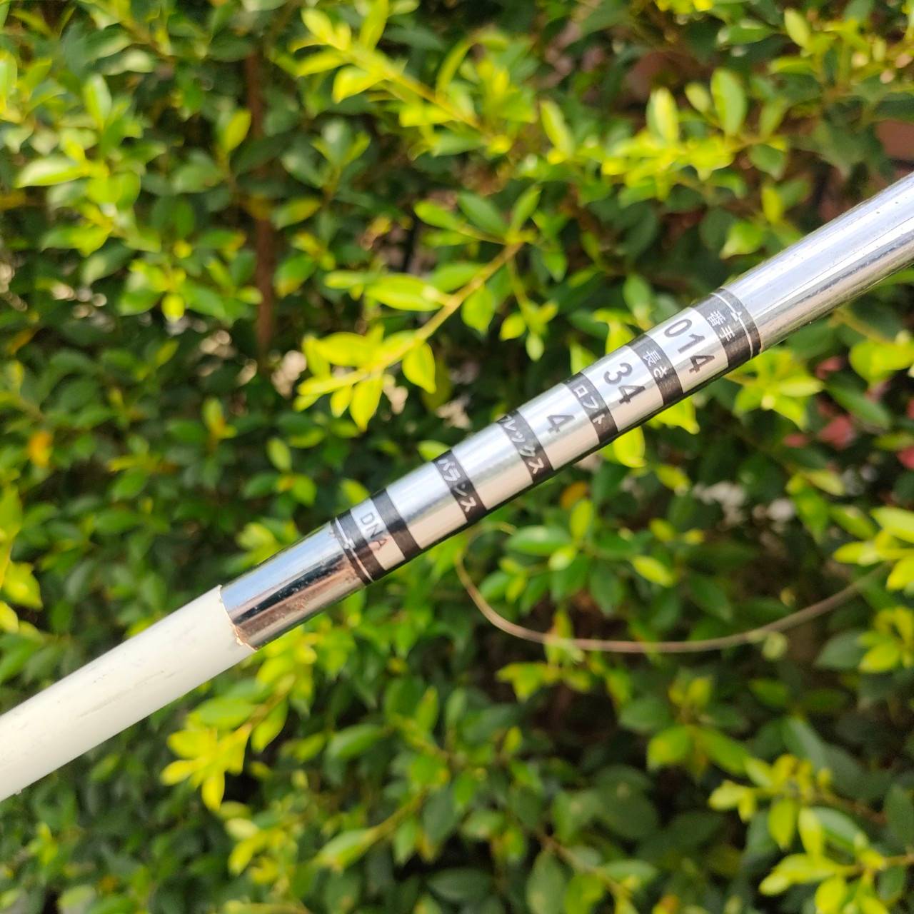 PUTTER KASCO DESIGN FOR NEW ATHLETES DNA-014 ความยาว 34 นิ้ว