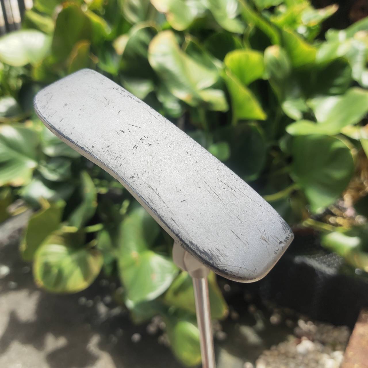 PUTTER G หน้าอินเซิร์ท นุ่มนวล และมี MILLED ช่วยในการเกาะไลน์มาก