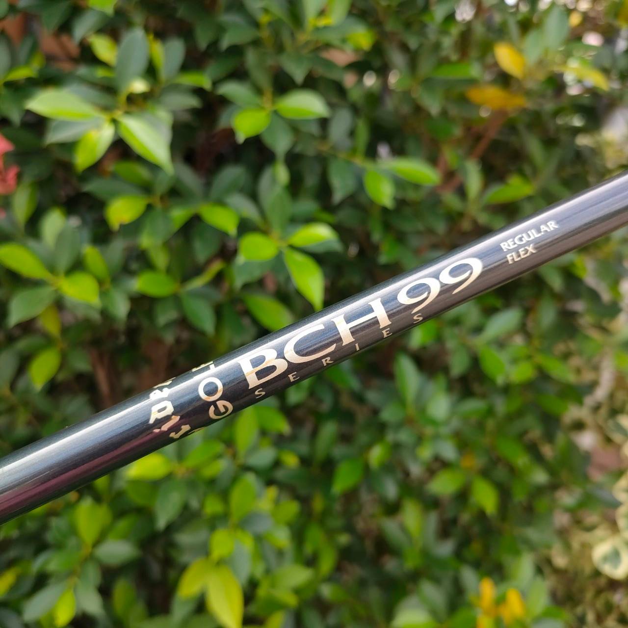 FW5 TRIDENT BIG BROTHER STEELHEAD ตีง่ายๆ ก้าน BCH90 FLEX R