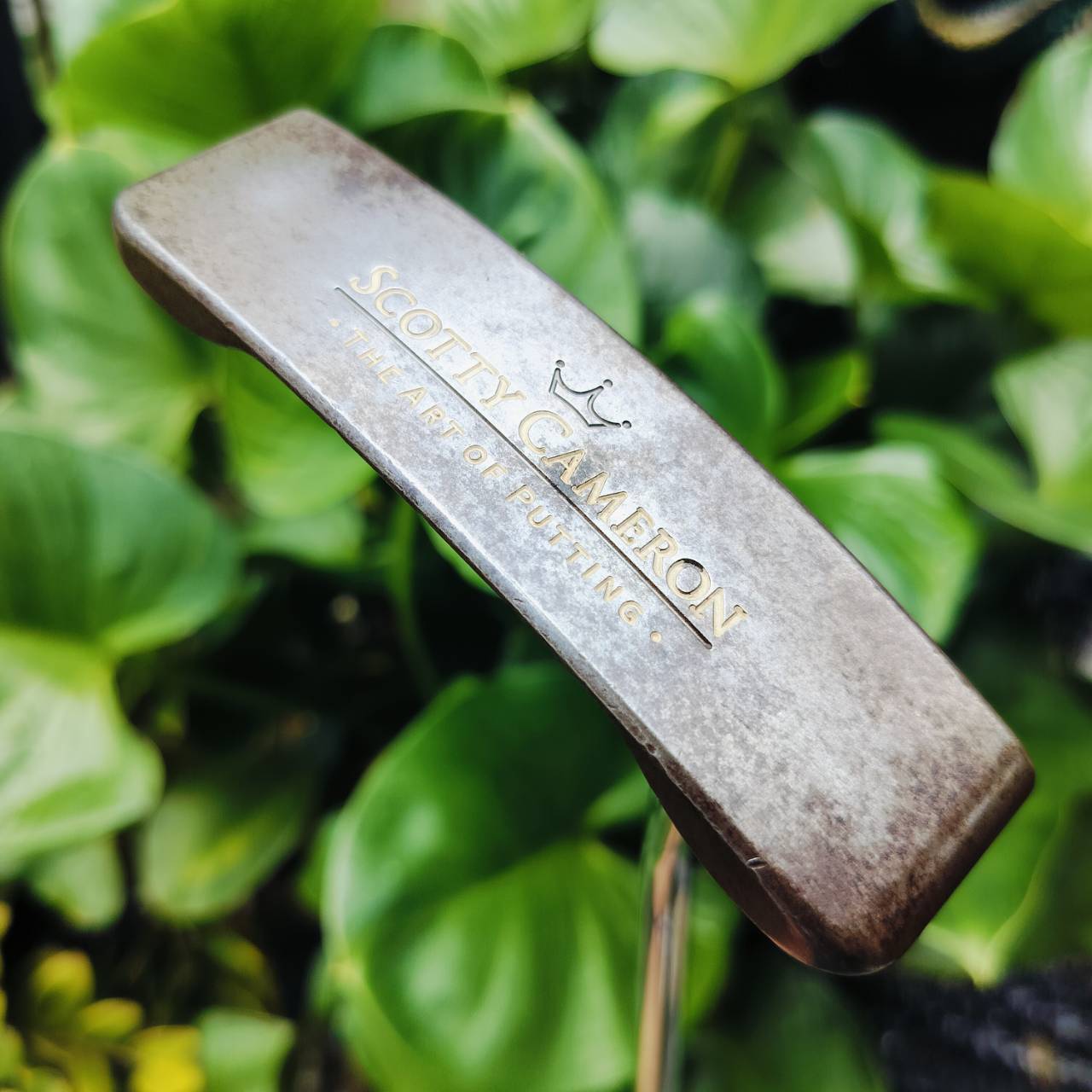 PUTTER SCOTTY CAMERON Oil Can™ Classics Catalina 2 THE ART OF PUTTING เป็นแบบไม่เคลือบ ทำให้ได้ฟีลลิ่งที่นุ่มนวลขึ้นอย่างมาก และหน้าสัมผัสทำงานได้เต็มที่ พัตต์ลูกเกาะไลน์แบบสุดๆเลยค่ะ ไม้กอล์ฟพรีเมี่ยมมือสอง ของแท้ By NakaraLuxurious
