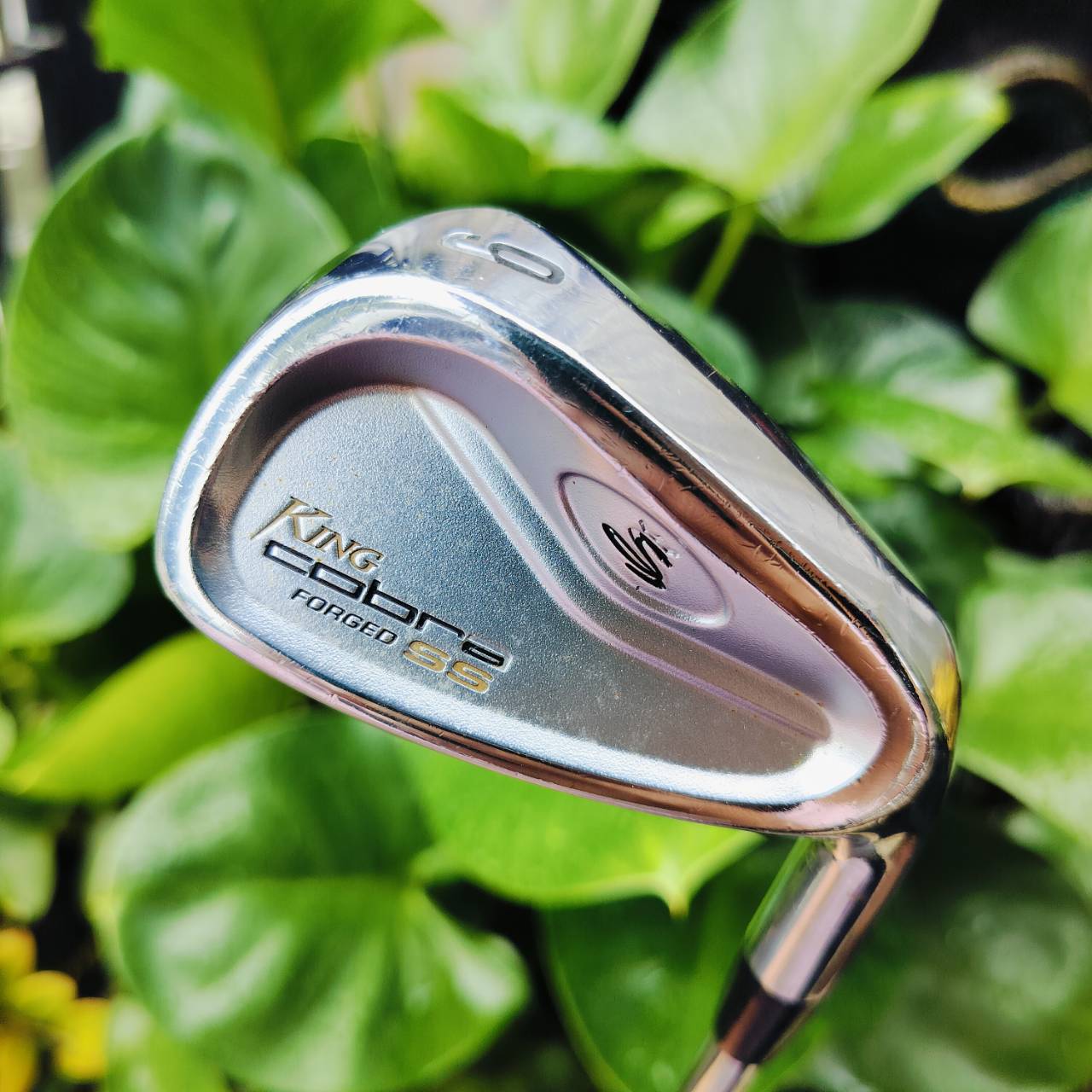 เหล็ก 9 KING COBRA FORGED SS ก้าน DYNAMIC GOLD S300 แม่นยำเป้าหมาย ใบ FORGED พรีเมี่ยม ให้ความนุ่มนวล หนักแน่น ฟีลลิ่งสุดพิเศษ