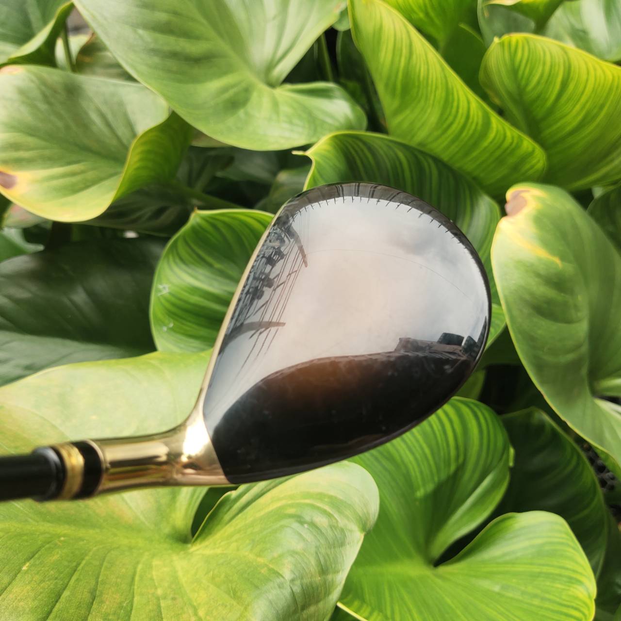 FW4 VOLTIO SNIPER V Series หน้าเด้งมาก!!! องศา 18 ระยะตีไกลกว่า FW5 ตีง่ายกว่า FW3