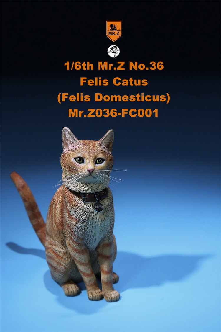 [สั่งจอง] Mr. Z Animal Model No.36: 1/6 Figure Felis Catus