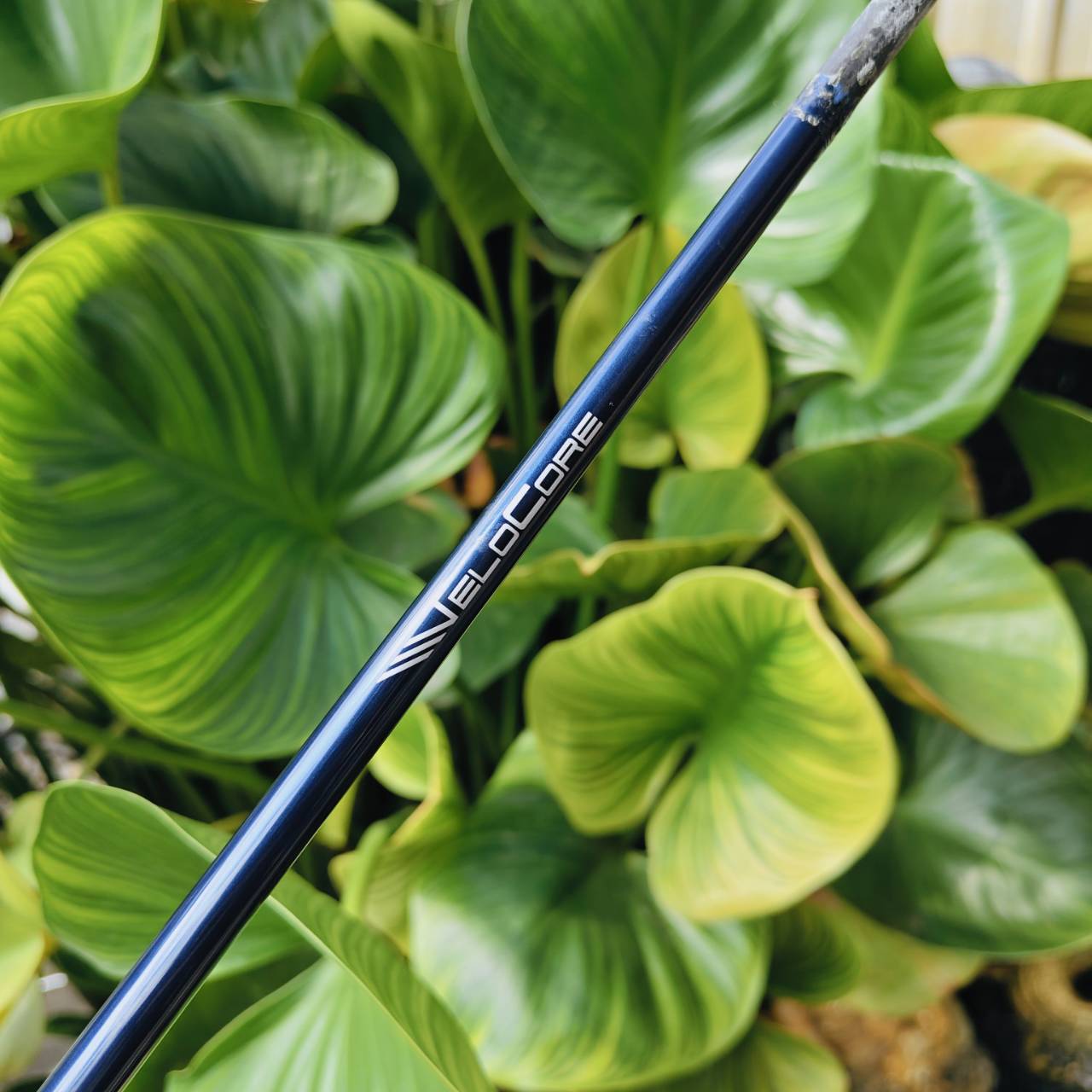 FUJIKURA VENTUS 6X – ก้านระดับทัวร์โปรที่ให้ทั้งพลัง ความแม่น และฟีลลิ่งแน่นสุดยอด!