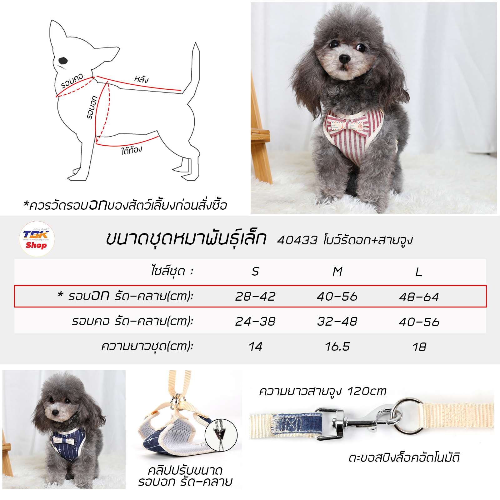 🔥Sale ลดราคา🔥 ชุดหมา พันธุ์เล็ก ลายโบว์ รัดอก + สายจูง รุ่น 40433 มี 6สี 3ไซส์ ปรับขนาดรอบอกได้ ลายน่ารัก ผ้าหนา ทนทาน
