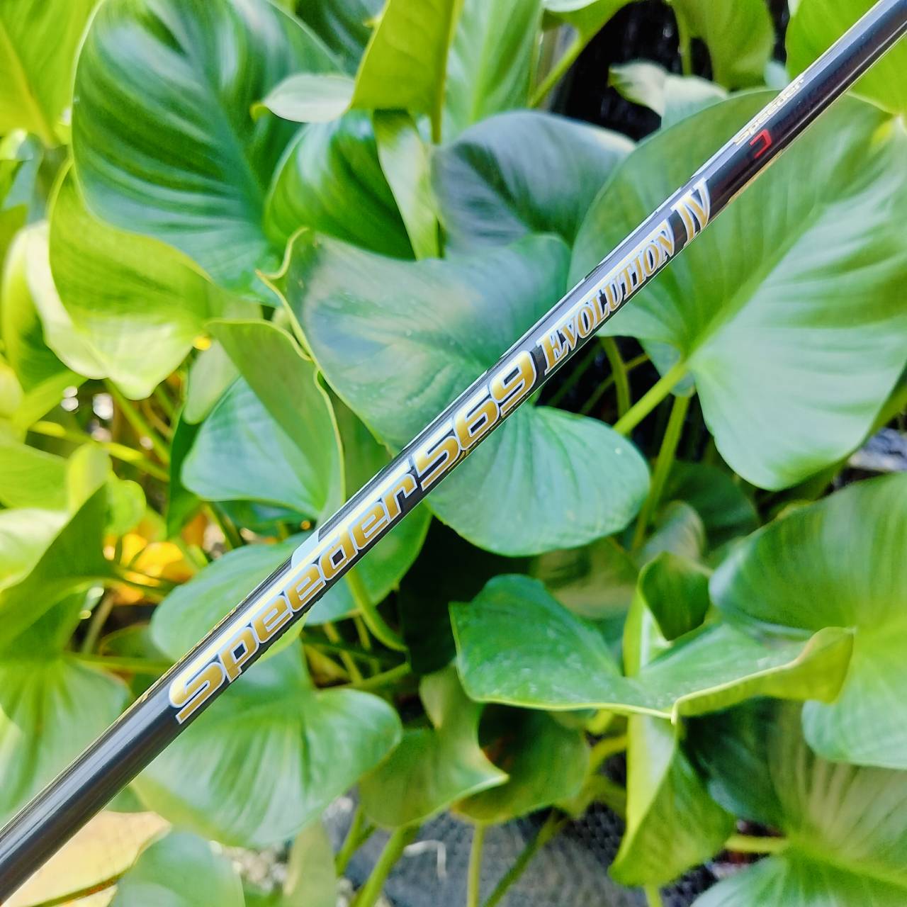 Driver Taylormade M6 องศา 10.5 มี COVER แท้เดิม กริพ IOMIC JAPAN ก้าน FUJIKURA SPEEDER569 EVOLUTION IV FLEX S .ออกแบบหน้าไม้พิเศษสุด ไม้กอล์ฟพรีเมี่ยมมือสอง ของแท้ By NakaraLuxurious