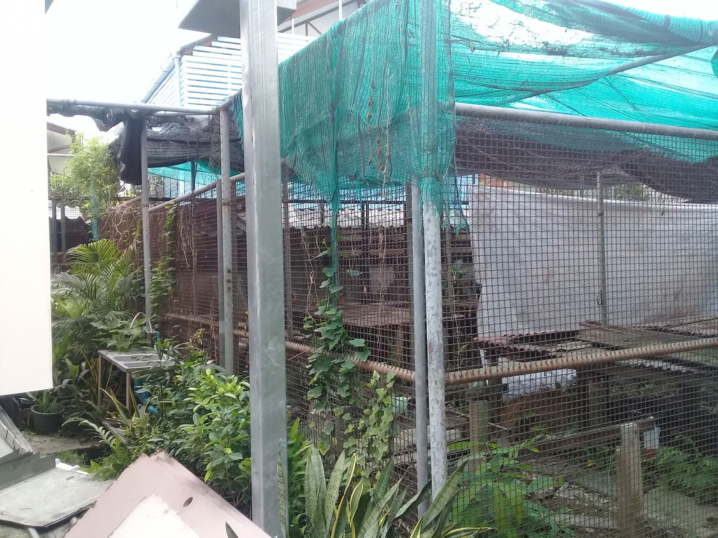 งานเรือนเพาะชำ กองทัพเรือ