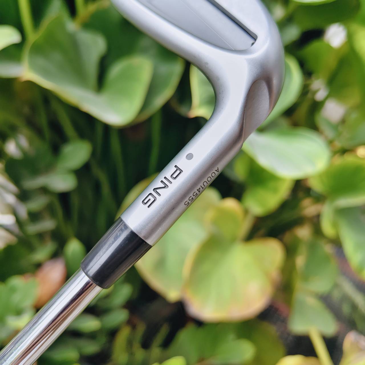 ชุดเหล็ก PING i230 พัฒนาต่อยอด เพิ่มรูปลักษณ์และเทคโนโลยีใหม่ เป็นที่นิยมอย่างมากในทัวร์ใหญ่