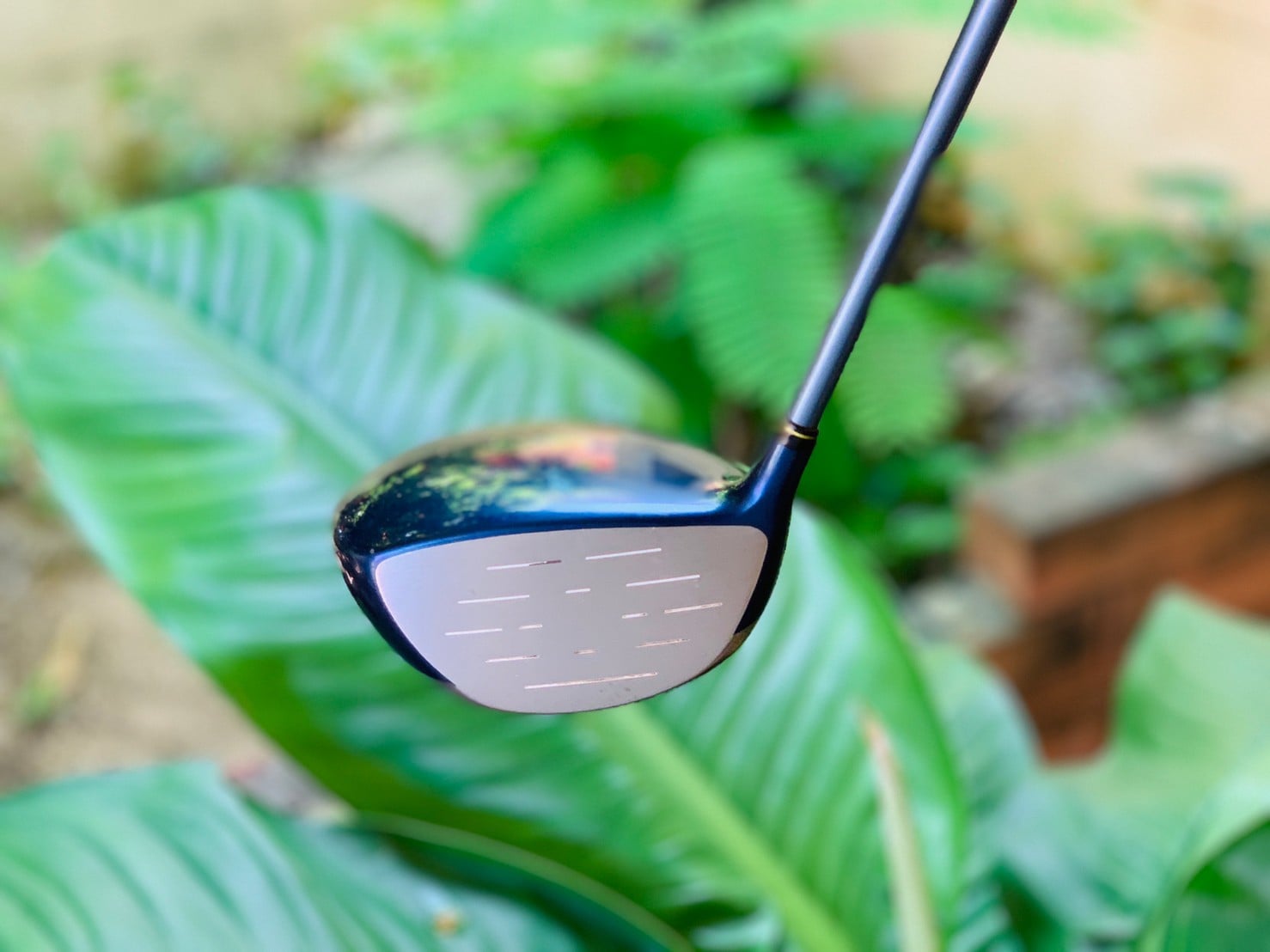 Driver Mizuno Model Presage Sophia