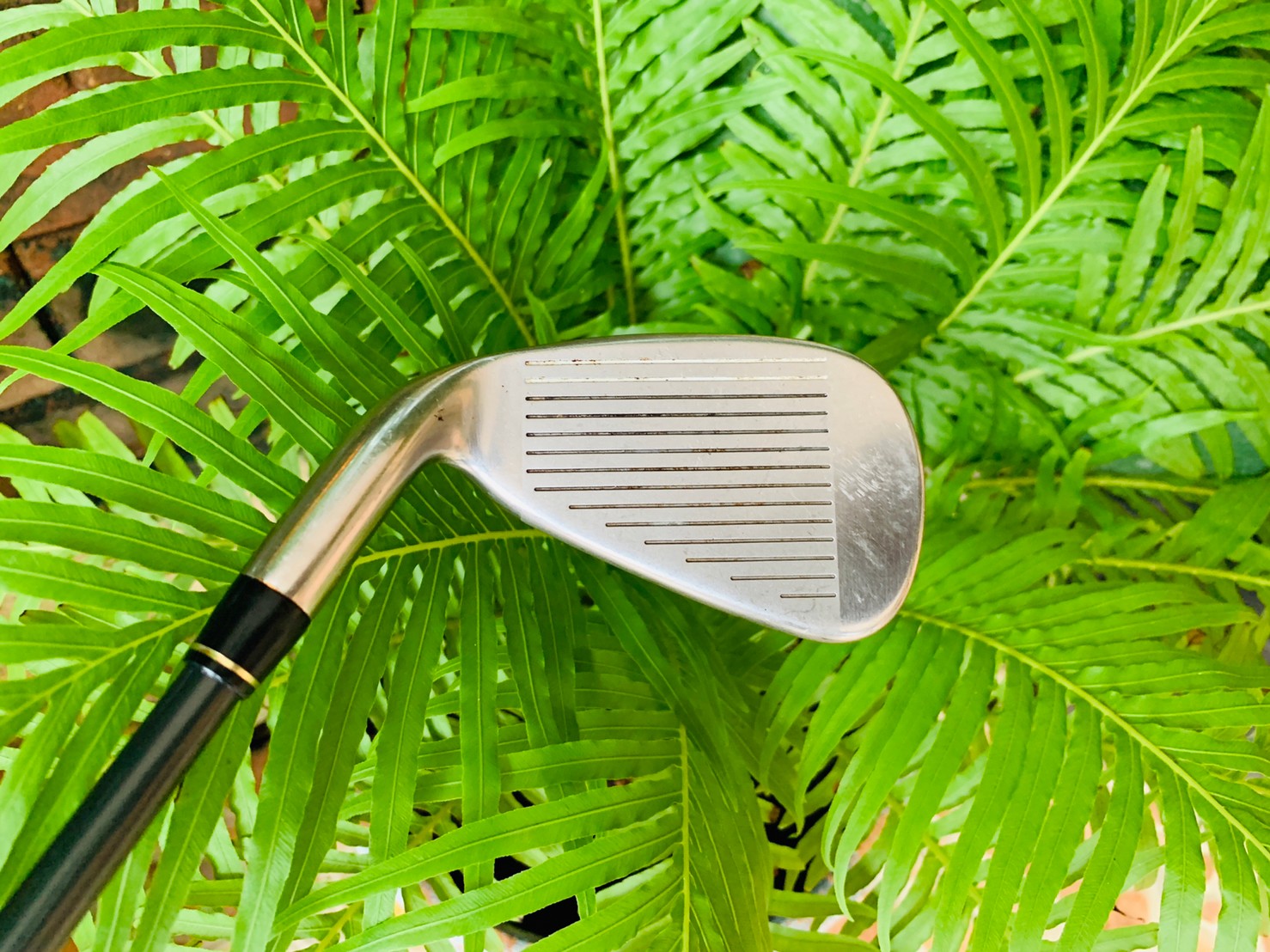 เหล็ก 5 RAC TAYLORMADE