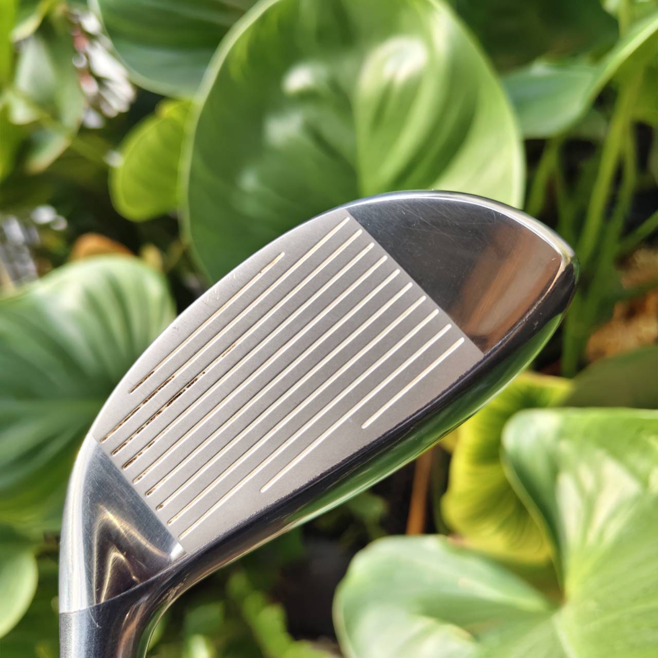 U666 KASCO POWERTORNADO – ตัวเด็ด+! องศา 31° | ก้าน FLEX R