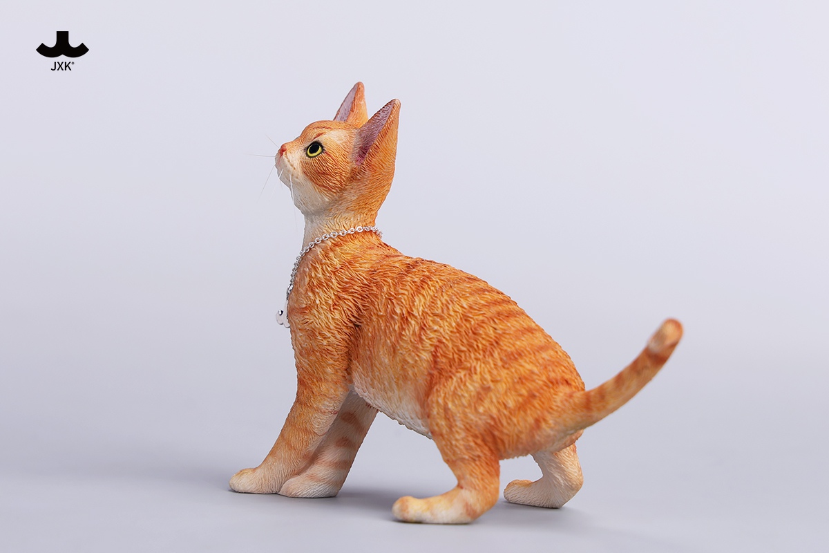 [สั่งจอง]JXK 1/6 : Devon Rex Cat Figurine V4