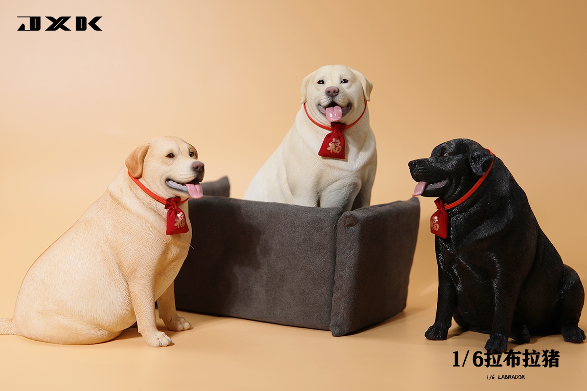 [สั่งจอง]JXK 1/6 : Labrador