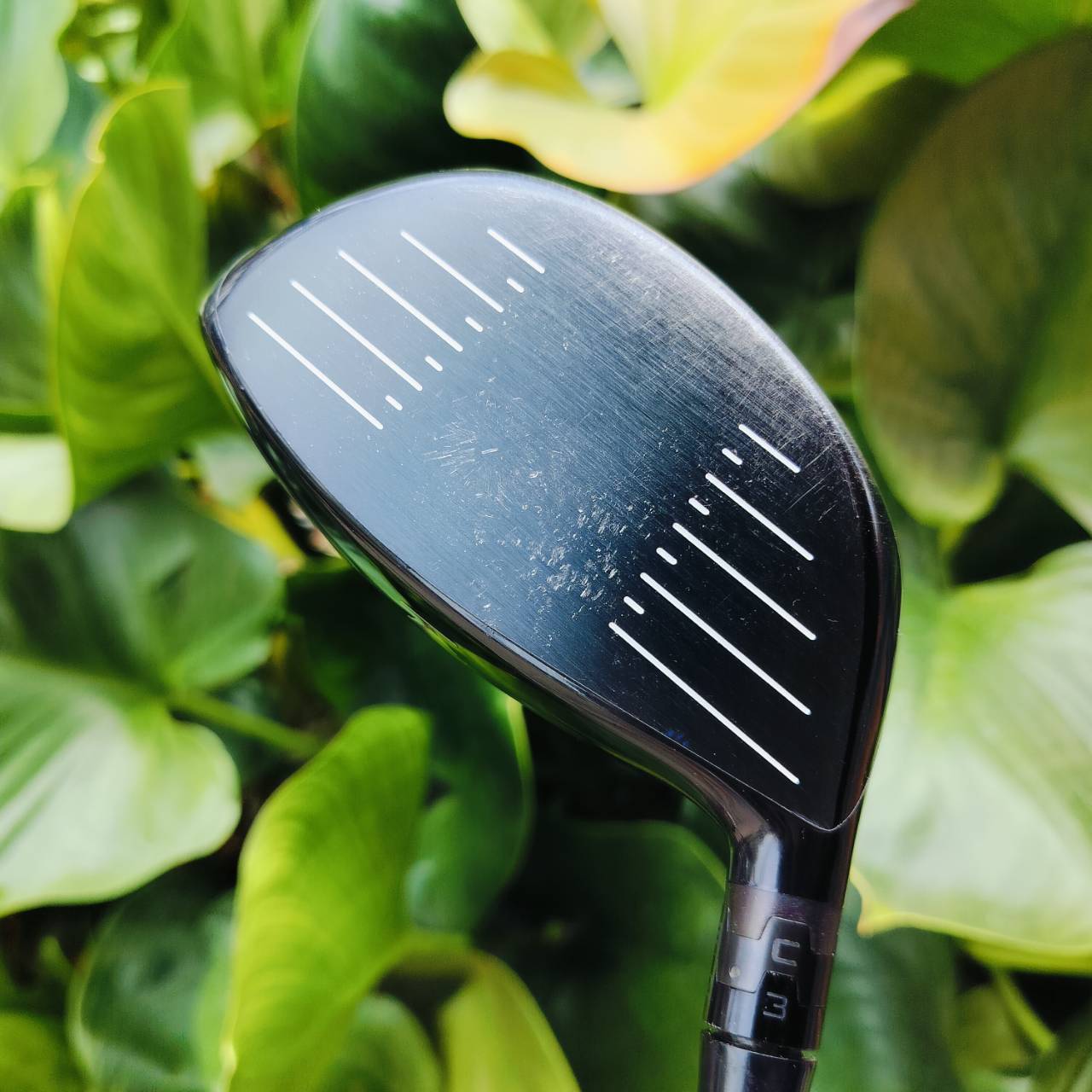 *** ไม้กอล์ฟมือซ้าย *** DRIVER TITLEIST 910 D2 องศา 10.5 ก้าน FUJIKURA MOTOREF3 FLEX R มือซ้ายหายาก D2 ตีดีมากๆๆ ไม้กอล์ฟพรีเมี่ยมมือสอง ของแท้ By NakaraLuxurious