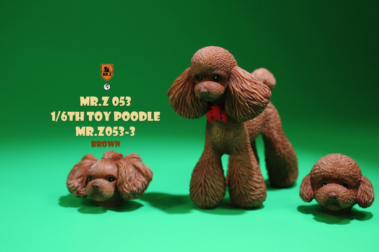 [สั่งจอง]Mr.Z MRZ053 animal model 1/6 : Toy Poodle