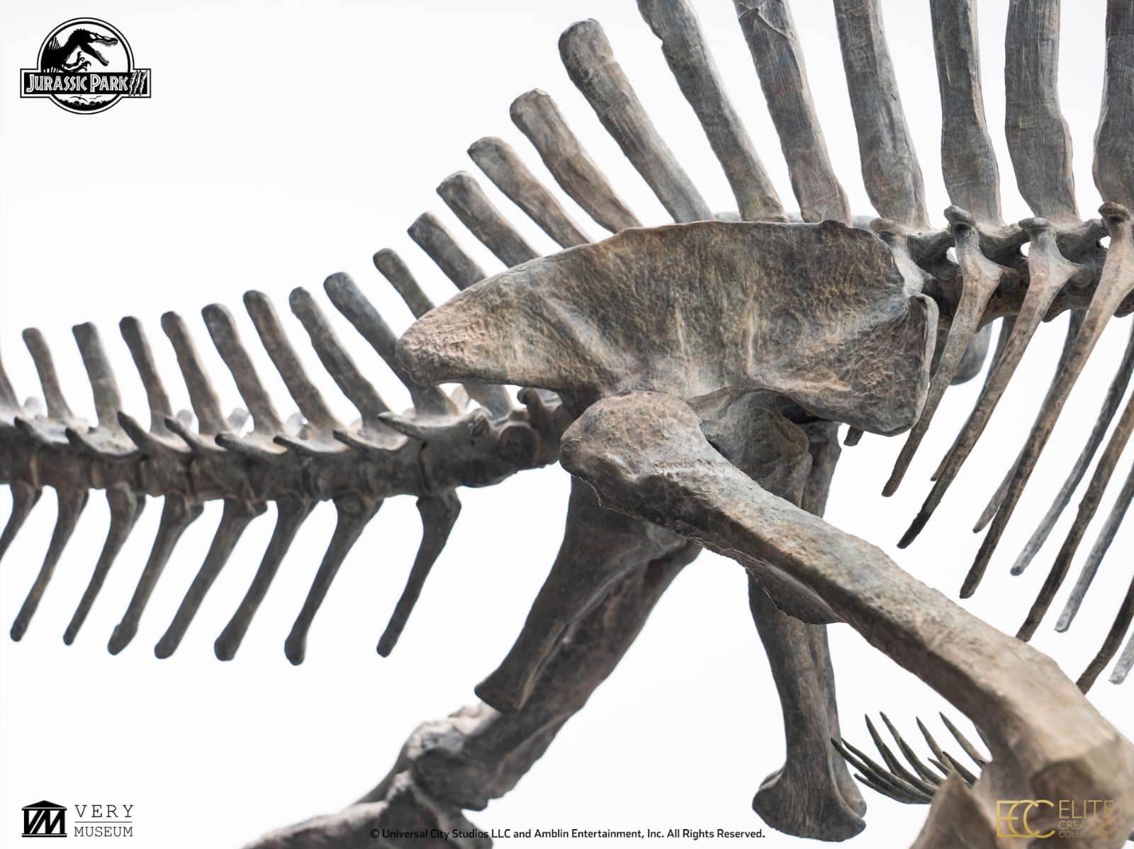[สั่งจอง]ECC : Bronze Spinosaurus Skeleton (Jurassic Park III)