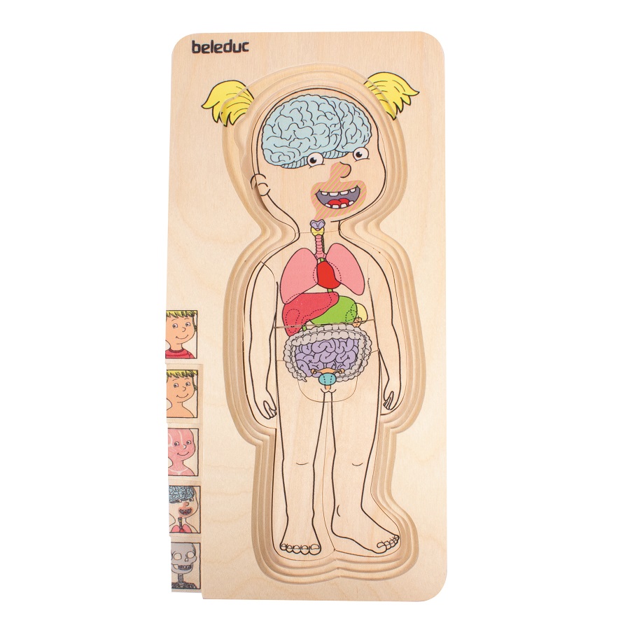 ชุดเกมปริศนา-ร่างกายเด็กหญิง , ของเล่นไม้, ของเล่นเสริมพัฒนาการ, ของเล่นเด็ก, สื่อการสอนเด็ก