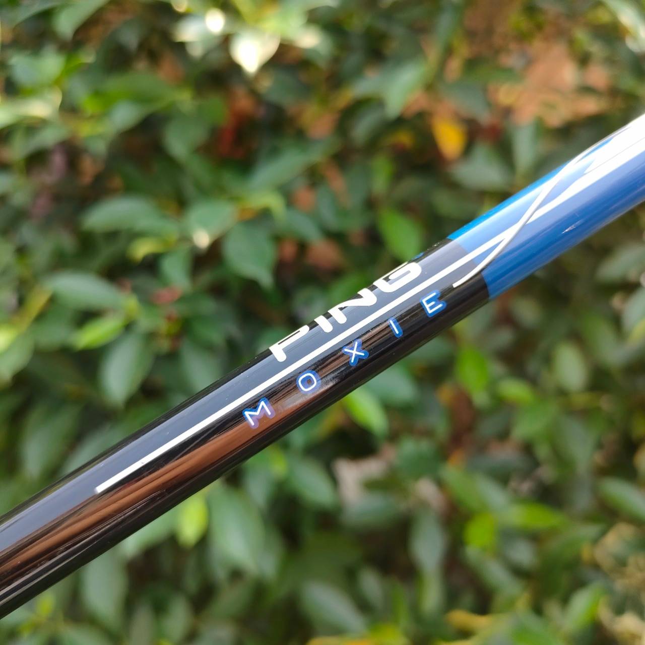 ** ไม้กอล์ฟสำหรับเด็ก ** เหล็ก 7 PING MOXIE ก้าน PING MOXIE FLEX Y