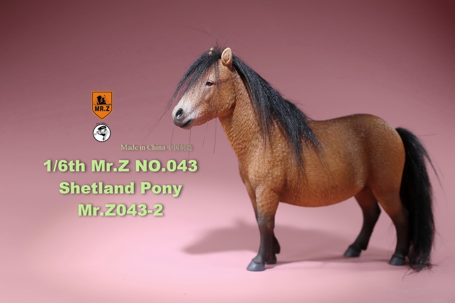 [สั่งจอง]น้องม้าน้อยโพนี่ 1/6 MR. Z Animal Model MRZ043 1/6th Shetland Pony(all 5 colors)
