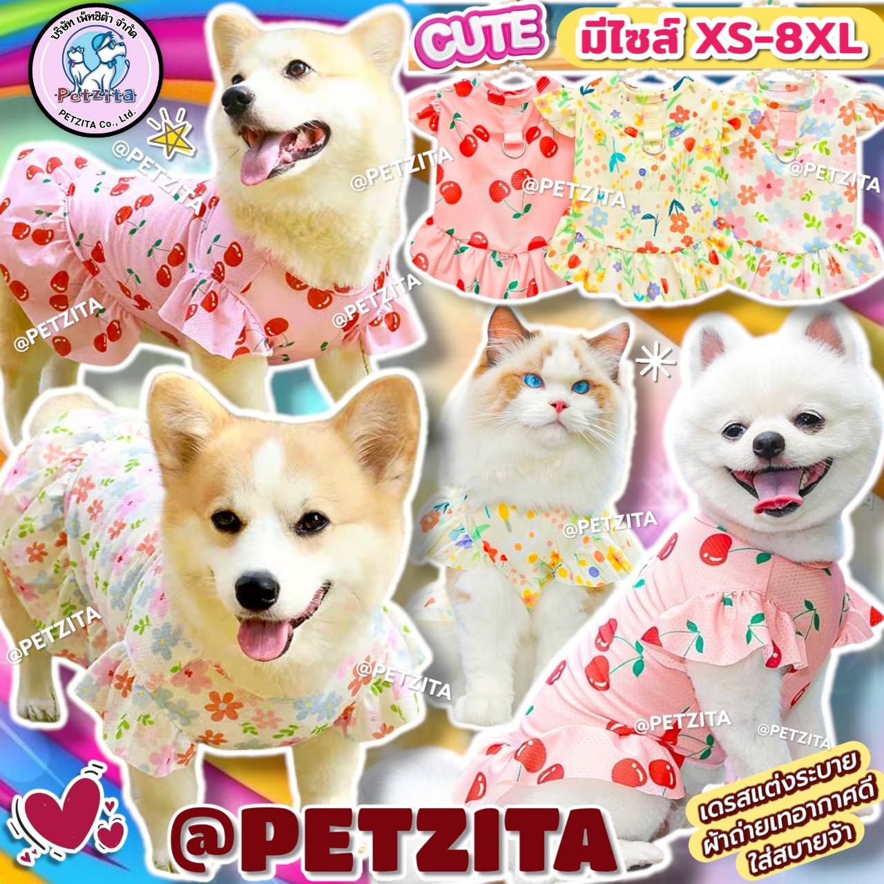🇹🇭พร้อมส่ง🇹🇭 🌸🌼🍒 ไซส์ XS-8XL เดรสสัตว์เลี้ยง เดรสหมาใหญ่ สุนัข หมา แมว ลายน่ารักหวานแหวว ชุดสุนัขพันธุ์ใหญ่