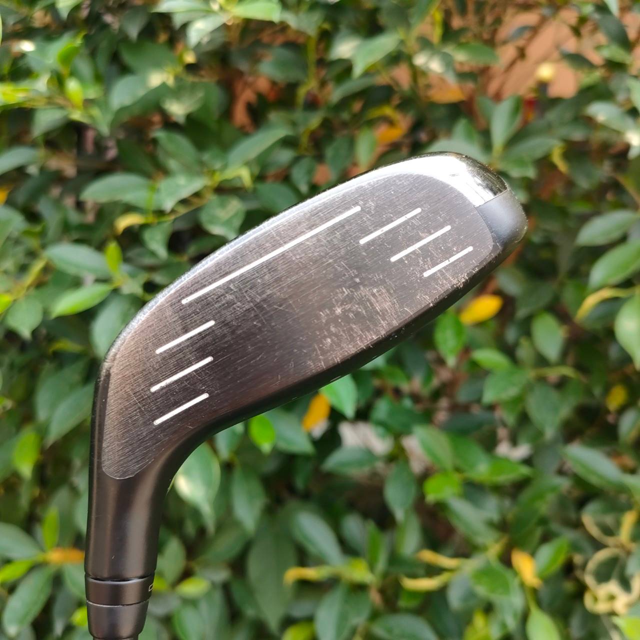 FW3 PING G425 SFT องศา 16 ก้าน ALTA่ JCB FLEX R รุ่น SFT แก้ตีเฟด และเพิ่มระยะแบบสุด!!! หน้า Maraging