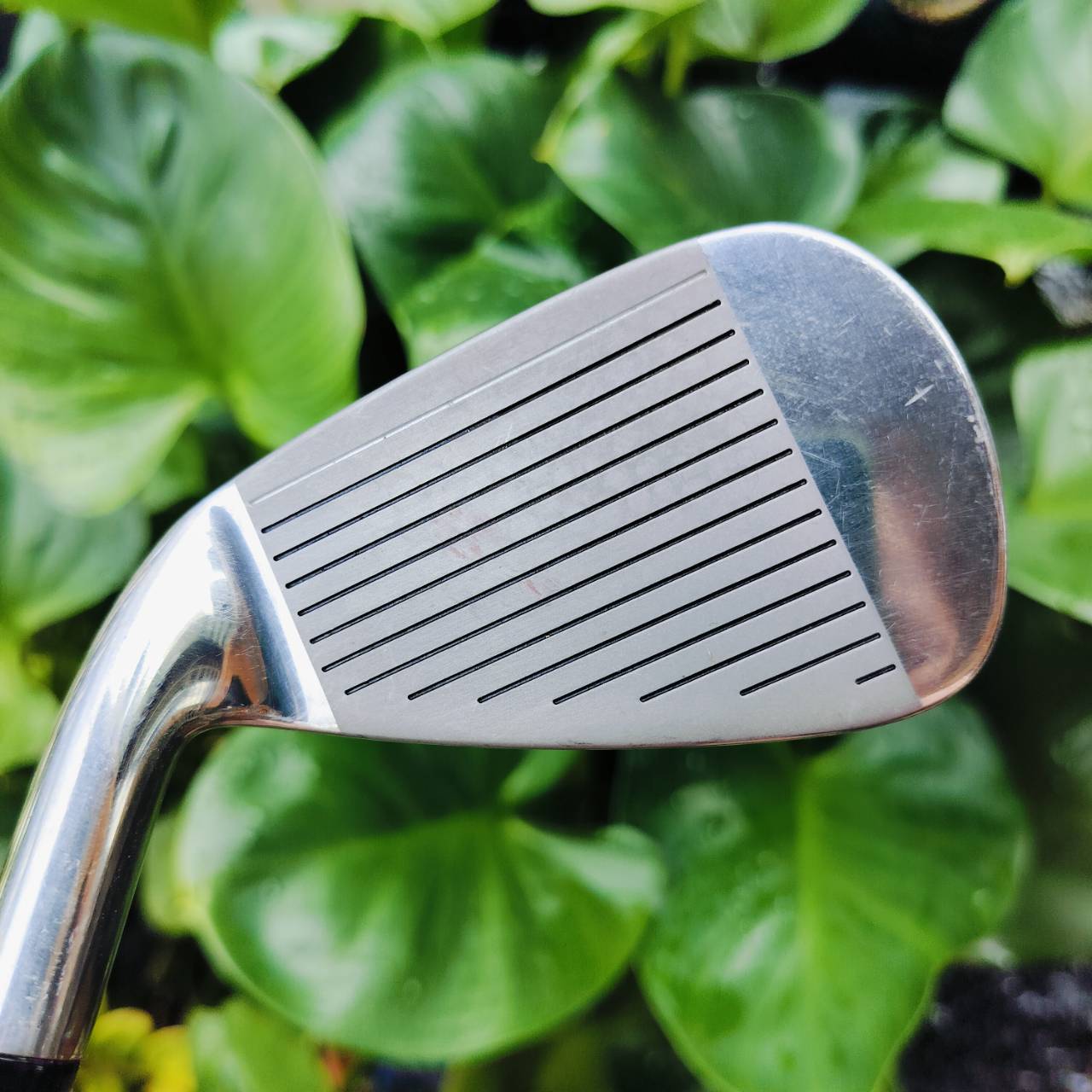 ชุดเหล็ก WILSON X-31 MUSCLE BACK TECNOLOGY ก้าน MEN'S FLEX ของผู้ชาย มีตั้งแต่เหล็ก 3 - 9 PW SW ครบๆ ใบ CAVITY ตีง่ายมาก ไม้กอล์ฟมือสอง ของแท้ By NakaraLuxurious