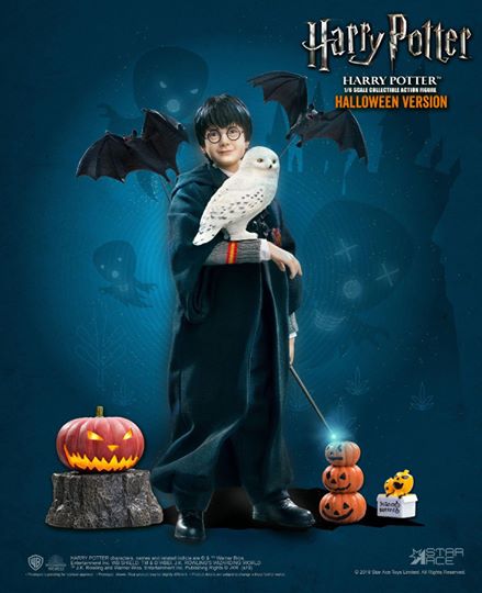 [สั่งจอง]STAR ACE Toys：1/6 HW0001/HW0002/HW0003/HW0004 1/6 Harry Potter (Child)
