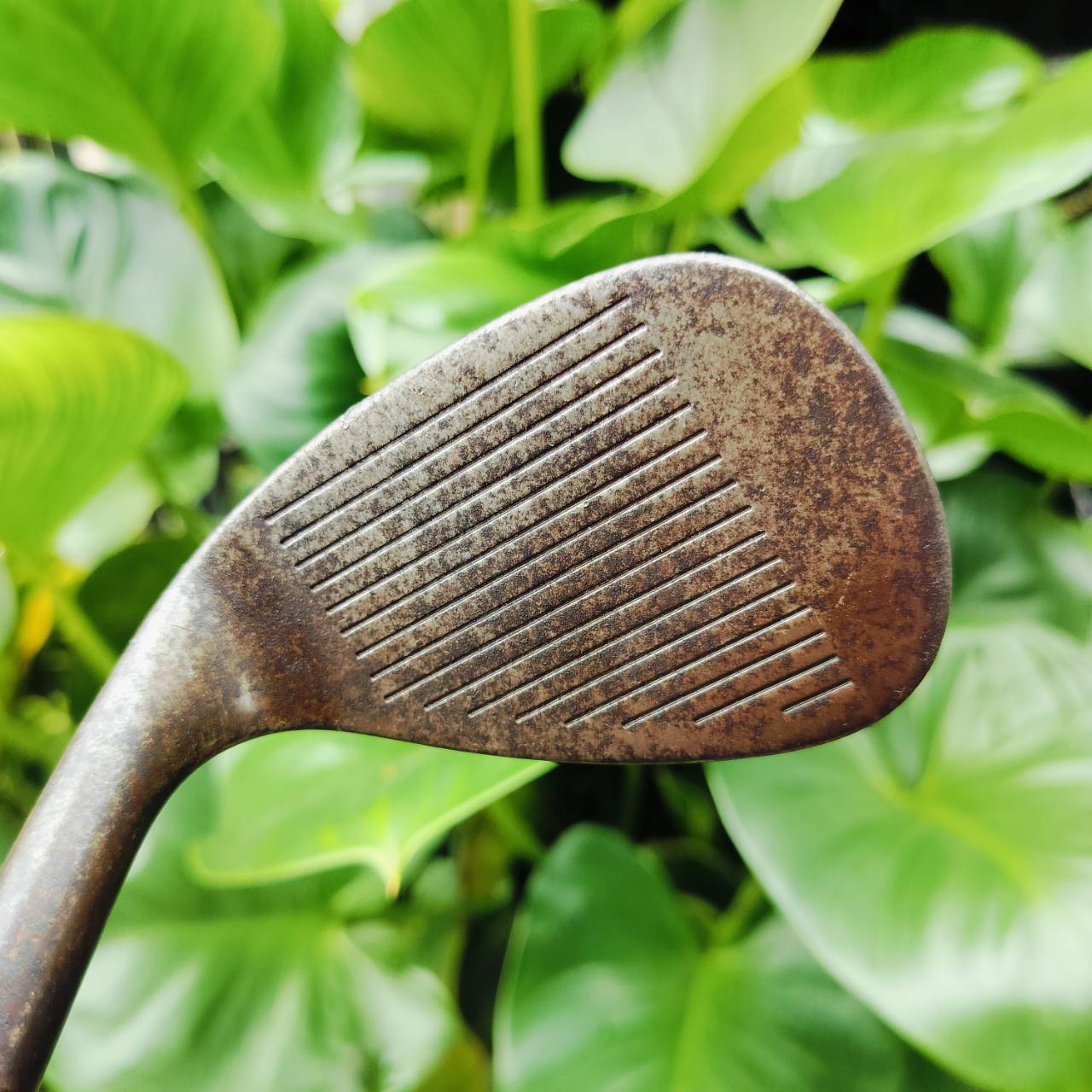 WEDGE TITLEIST VOKEY OIL CAN องศา 56 BOUNCE 14 ก้าน DYNAMIC GOLD FLEX WEDGE รุ่น OIL CAN ไม่เคลือบผิว ทำให้ได้ฟีลลิ่งของ WEDGE เต็มที่ ไม้กอล์ฟพรีเมี่ยมมือสอง ของแท้ By NakaraLuxurious